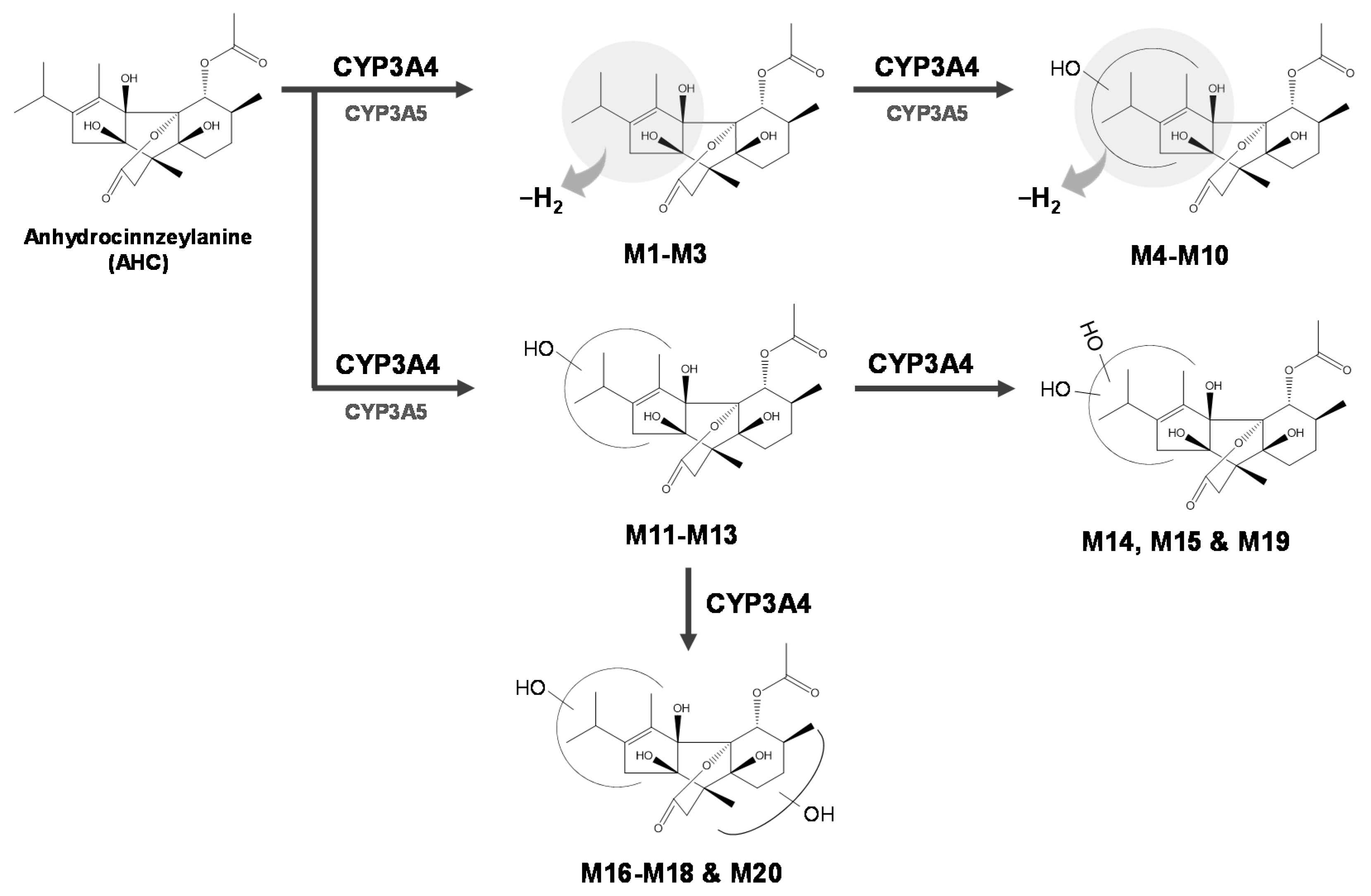 Pharmaceutics 13 01316 g006