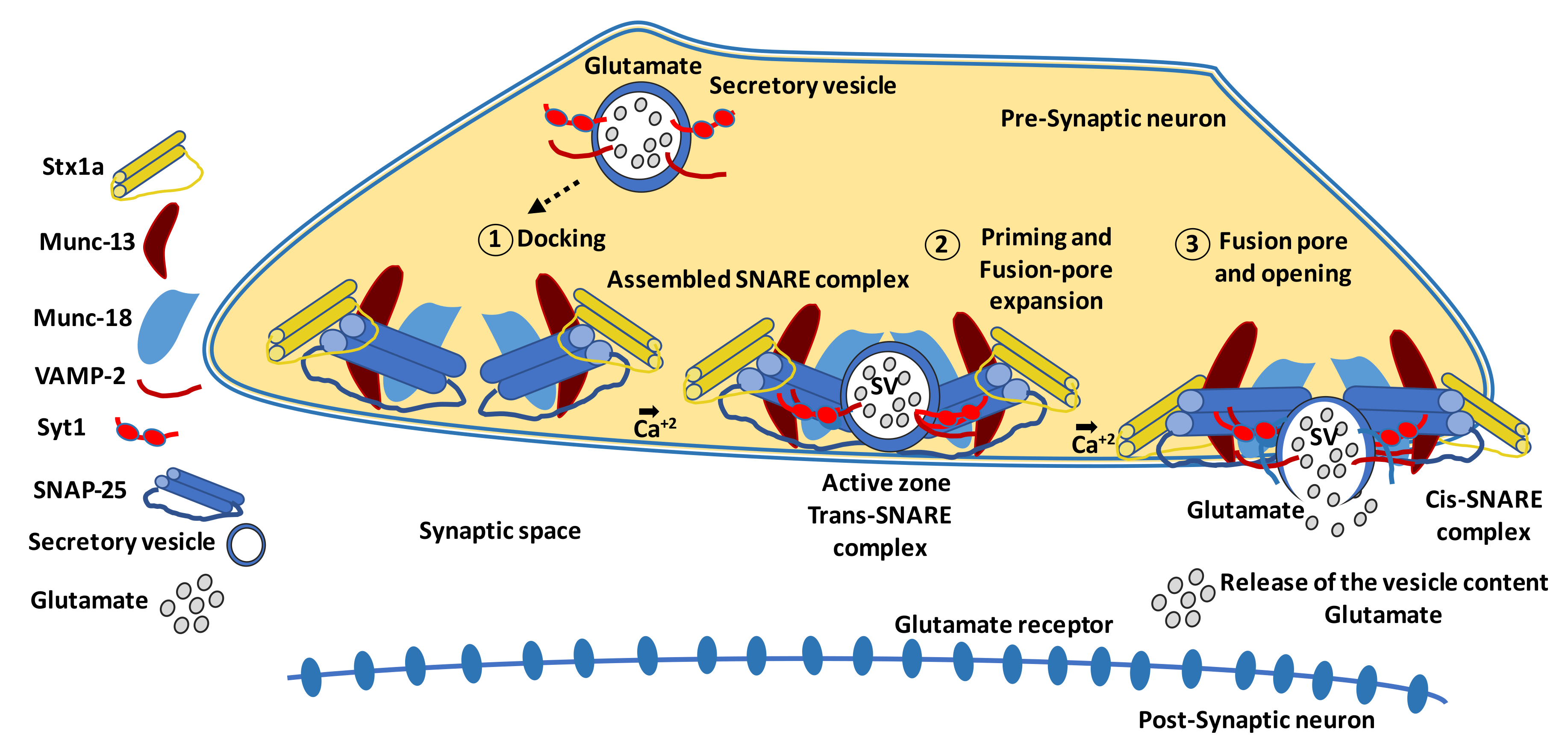 Pharmaceutics 13 01320 g002