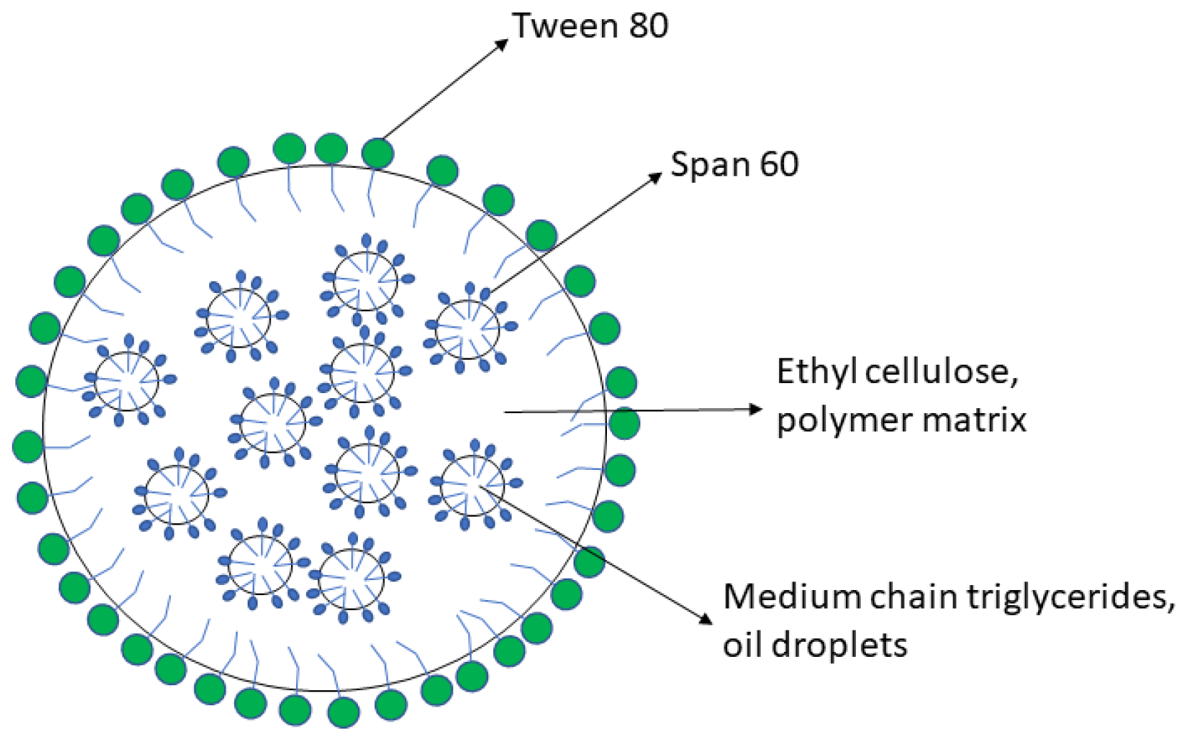 Pharmaceutics 13 01322 g001