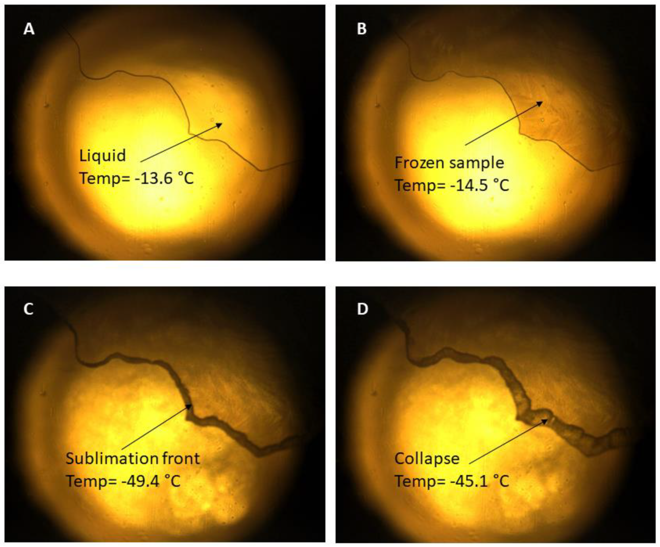 Pharmaceutics 13 01322 g002