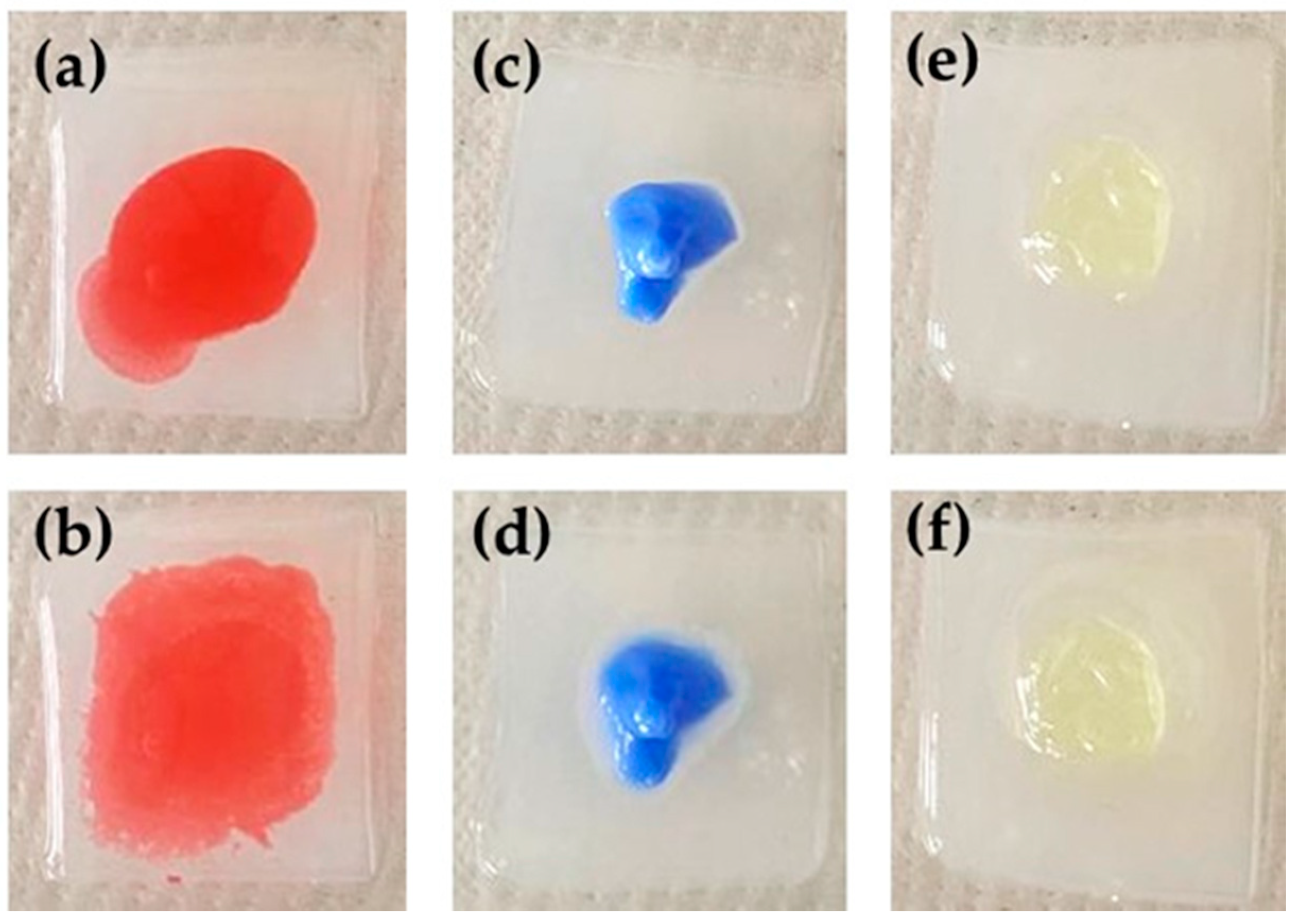 Pharmaceutics 13 01323 g004