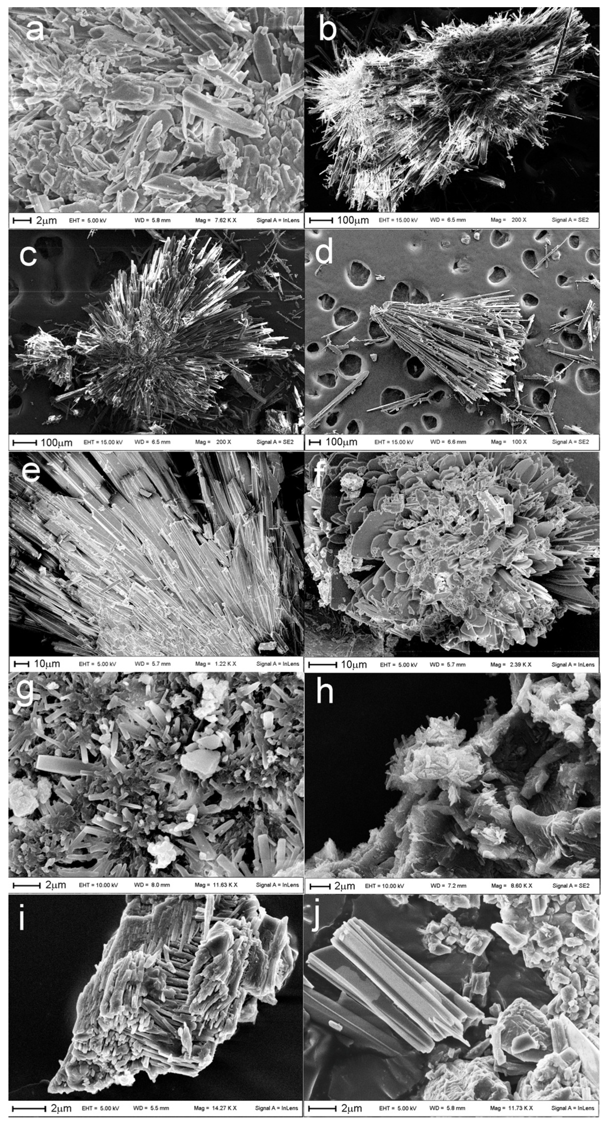 Pharmaceutics 13 01328 g005