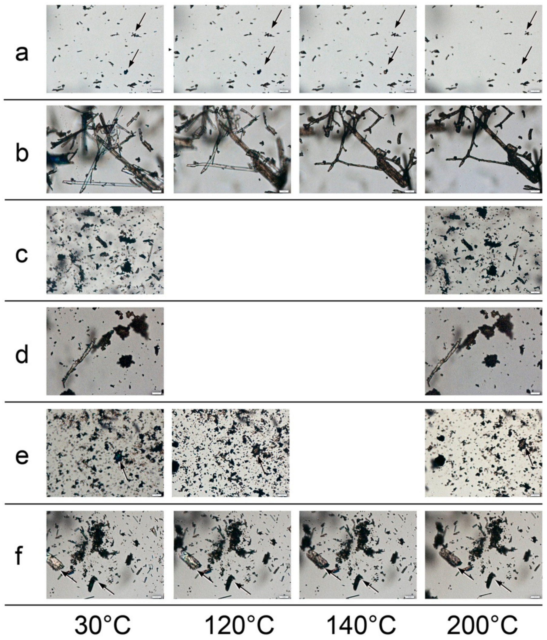 Pharmaceutics 13 01328 g007