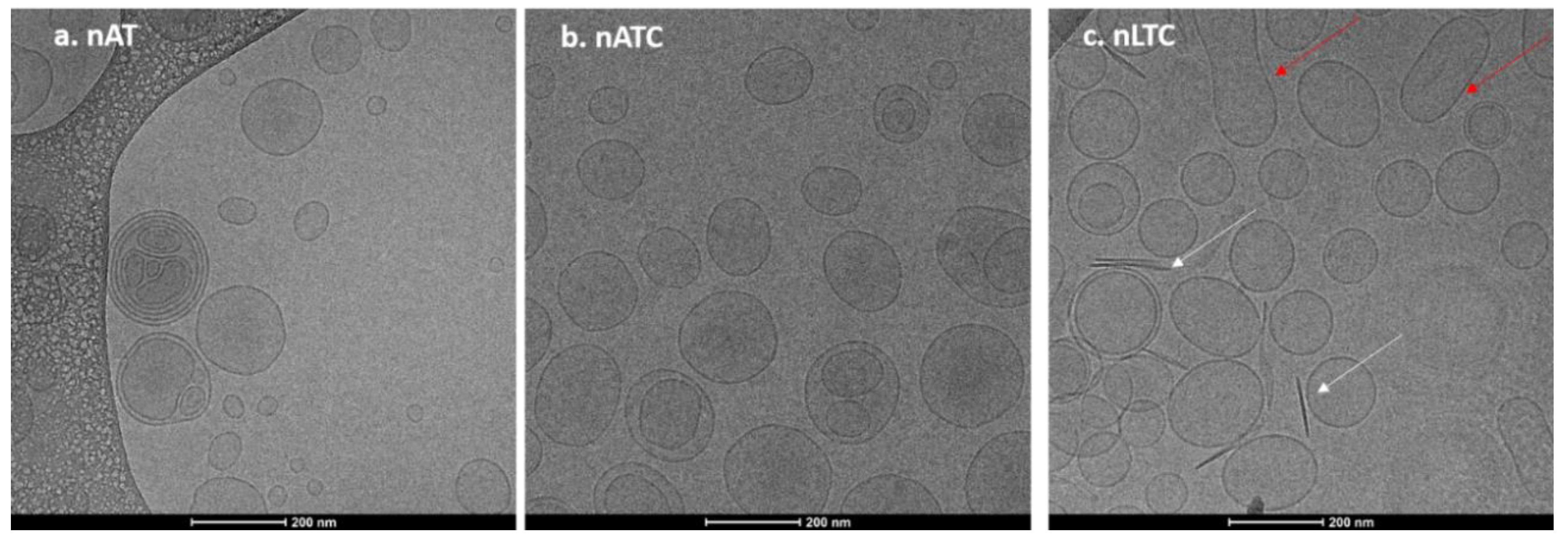 Pharmaceutics 13 01331 g001