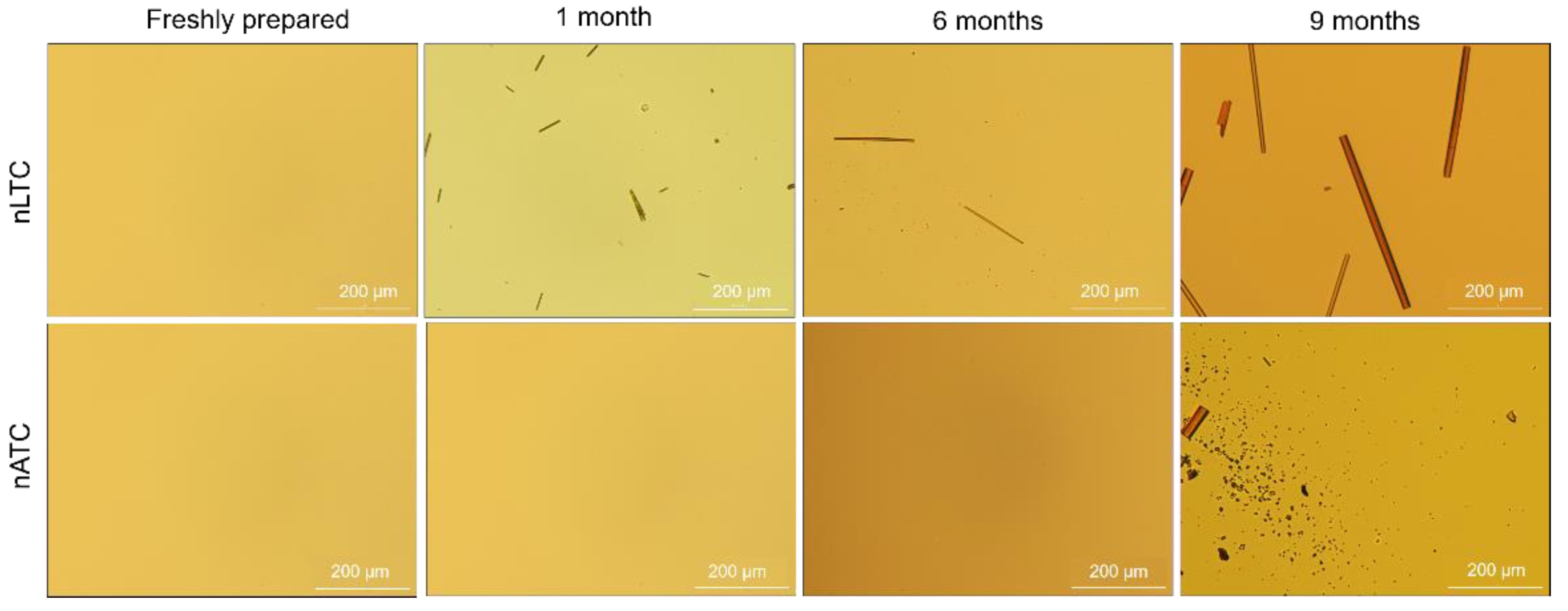 Pharmaceutics 13 01331 g005