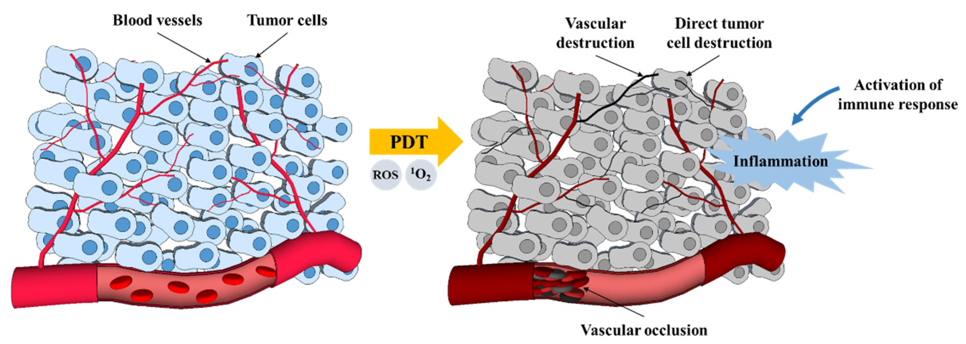 Pharmaceutics 13 01332 g003