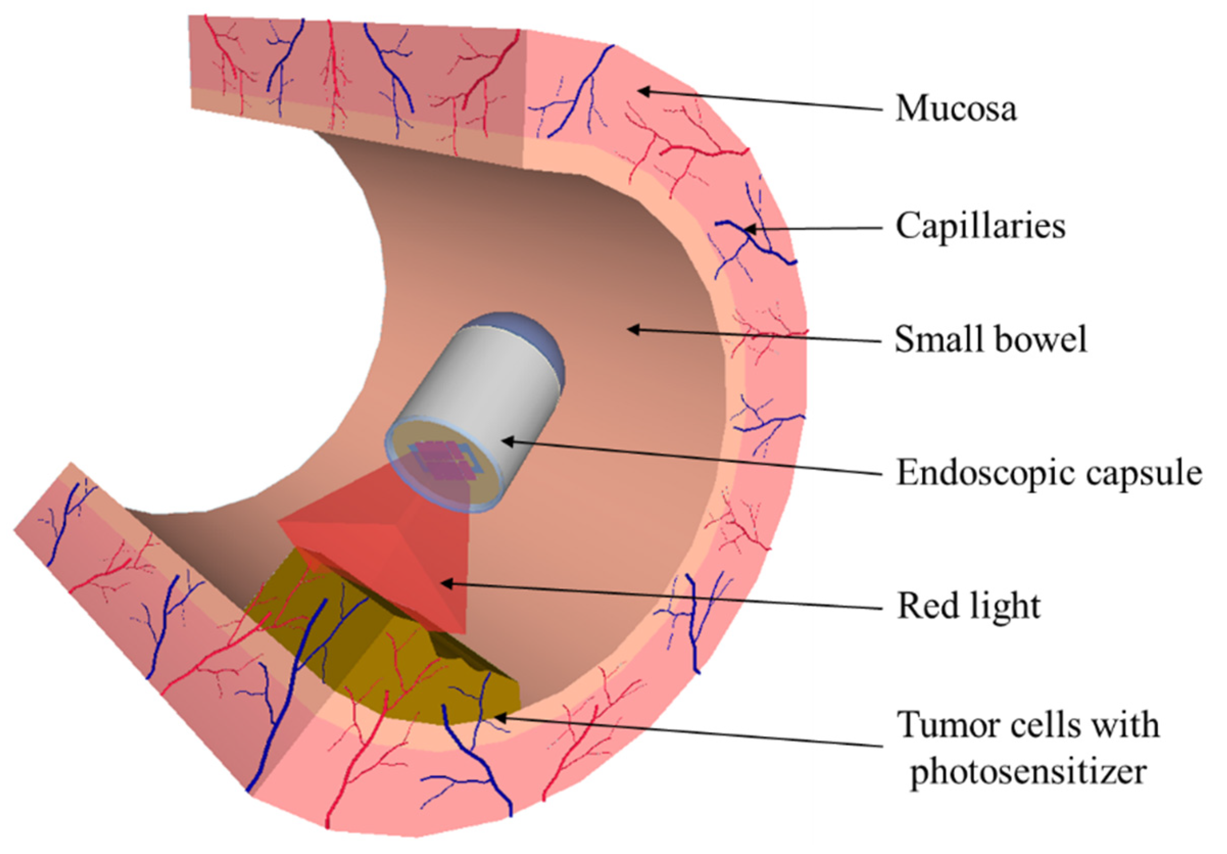 Pharmaceutics 13 01332 g005