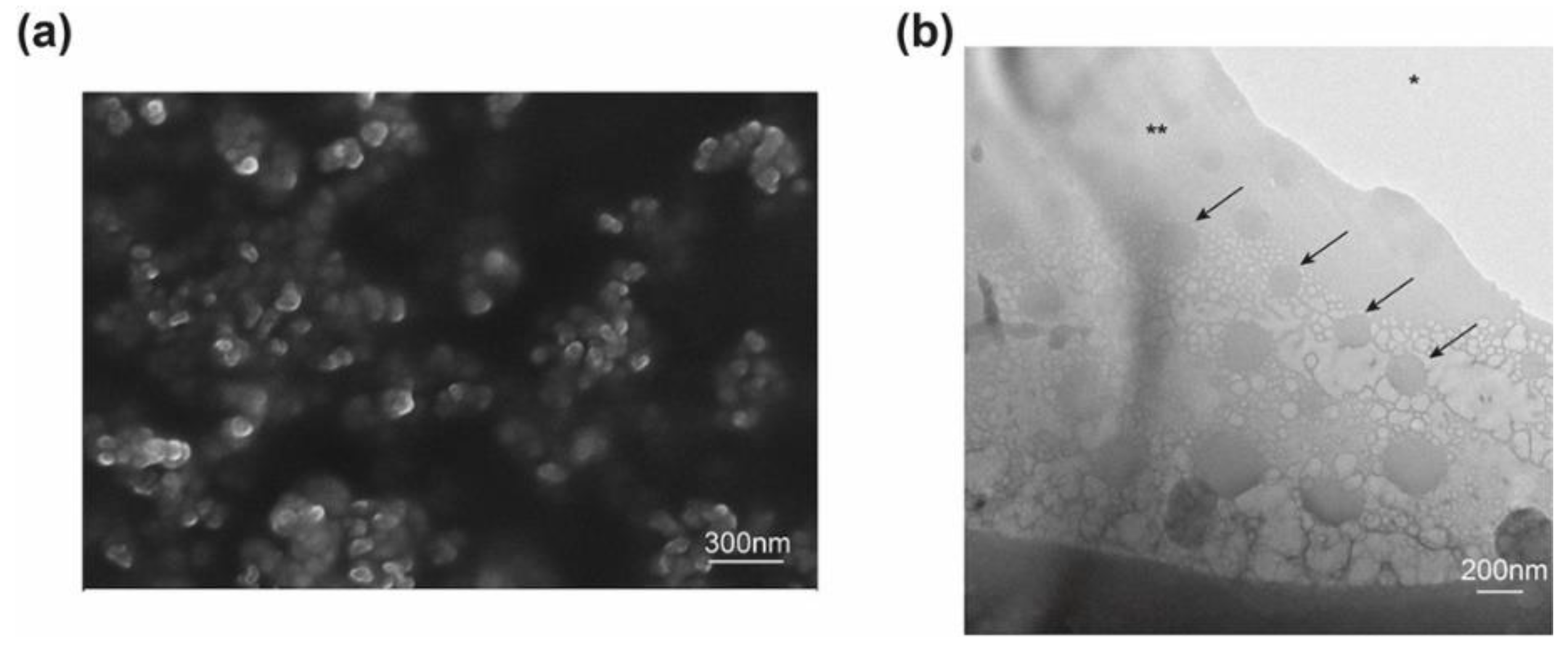 Pharmaceutics 13 01335 g001