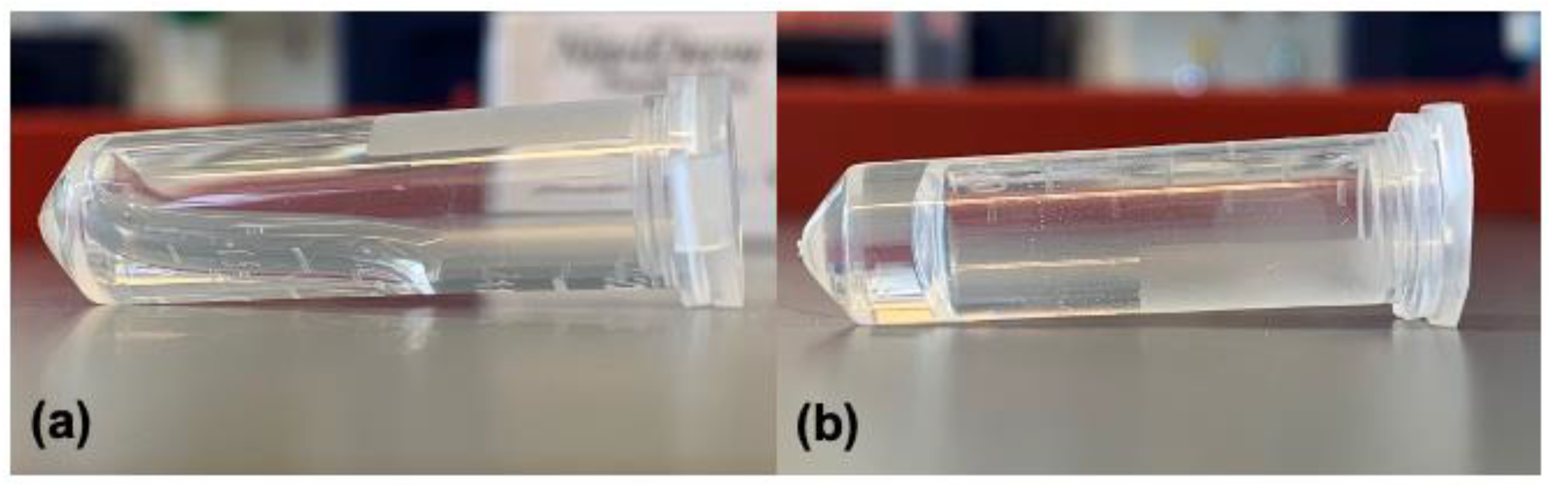 Pharmaceutics 13 01335 g002