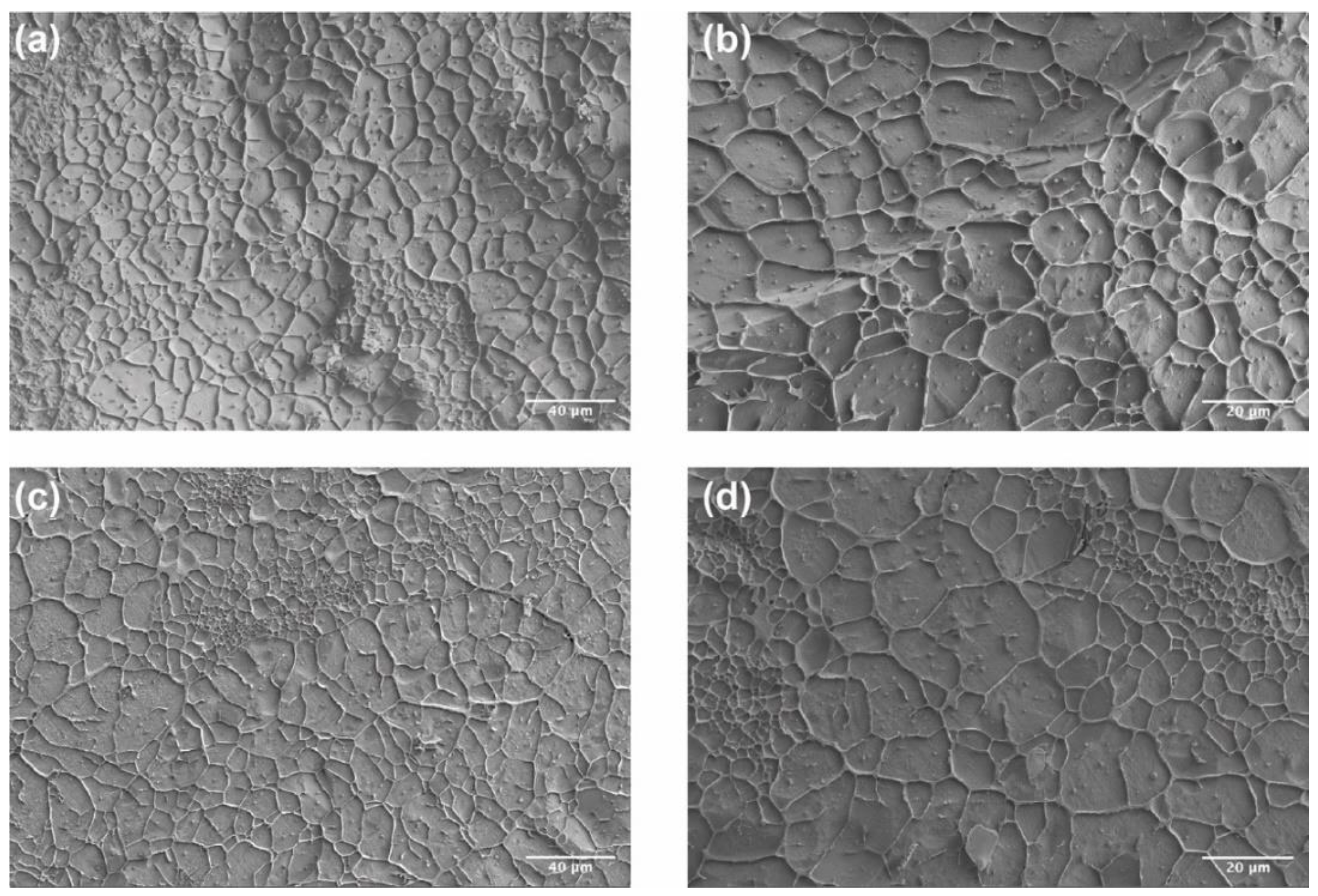 Pharmaceutics 13 01335 g005