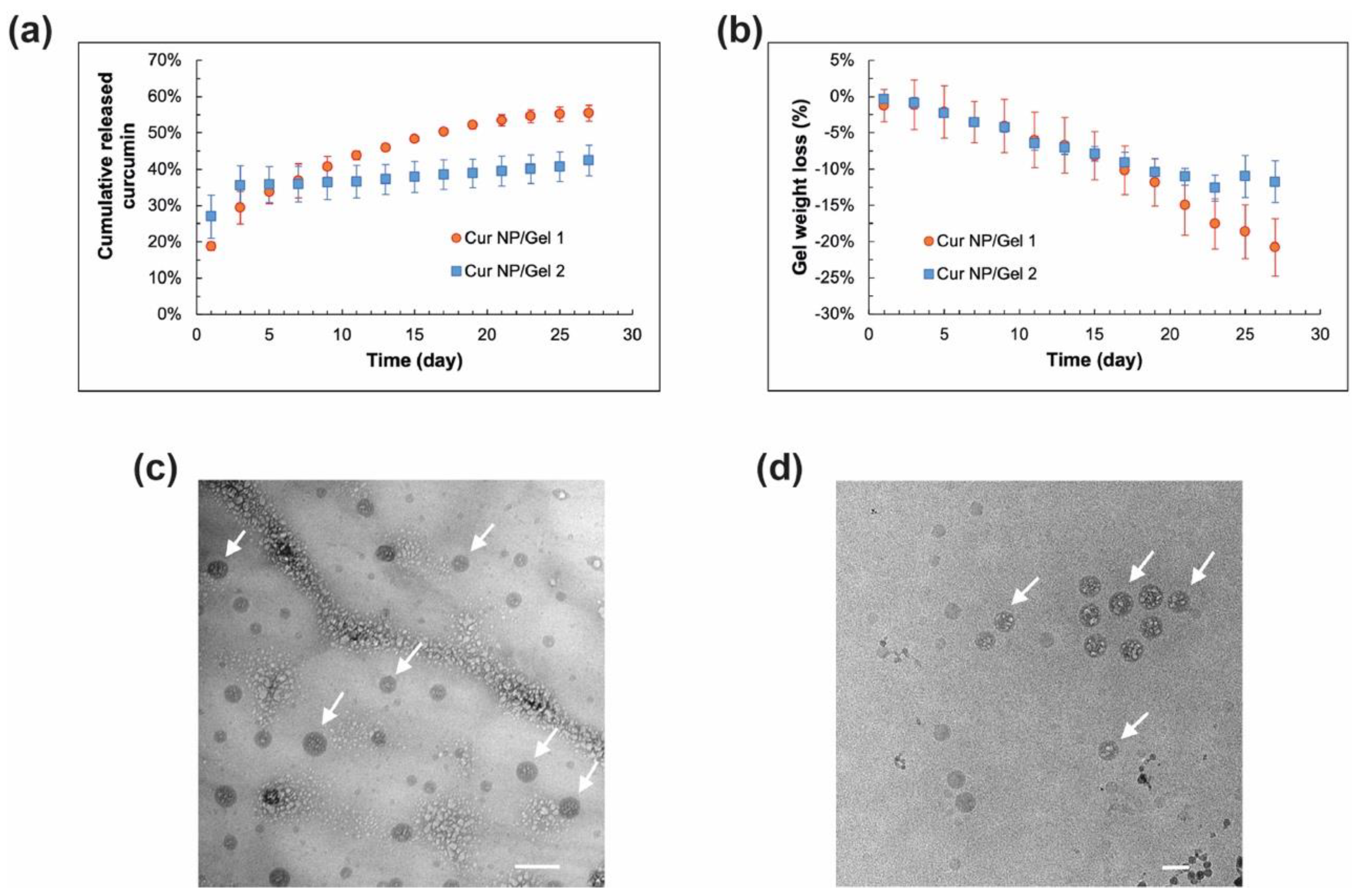 Pharmaceutics 13 01335 g008