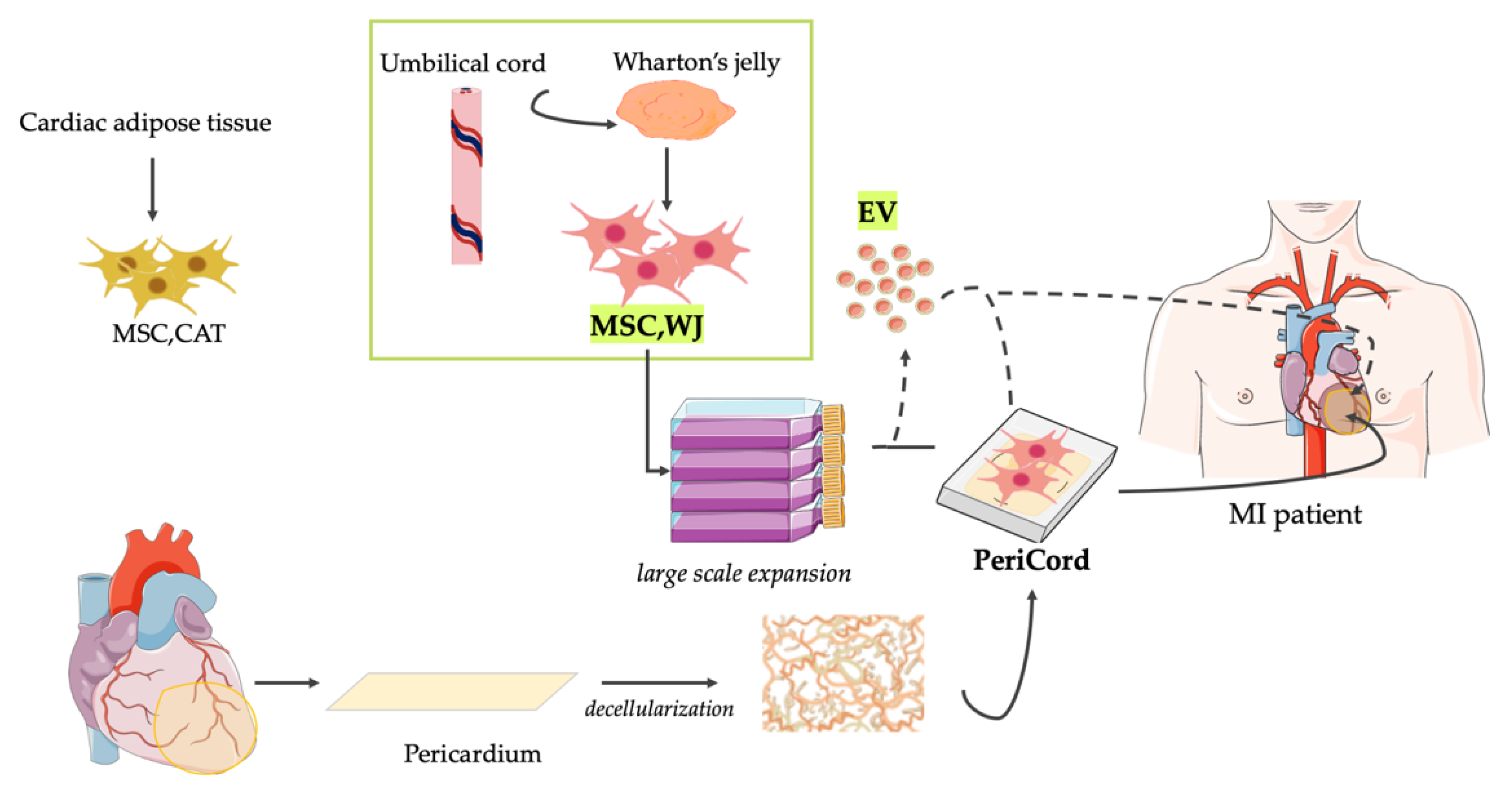 Pharmaceutics 13 01336 g002 Pharmaceutics 13 01336 g002
