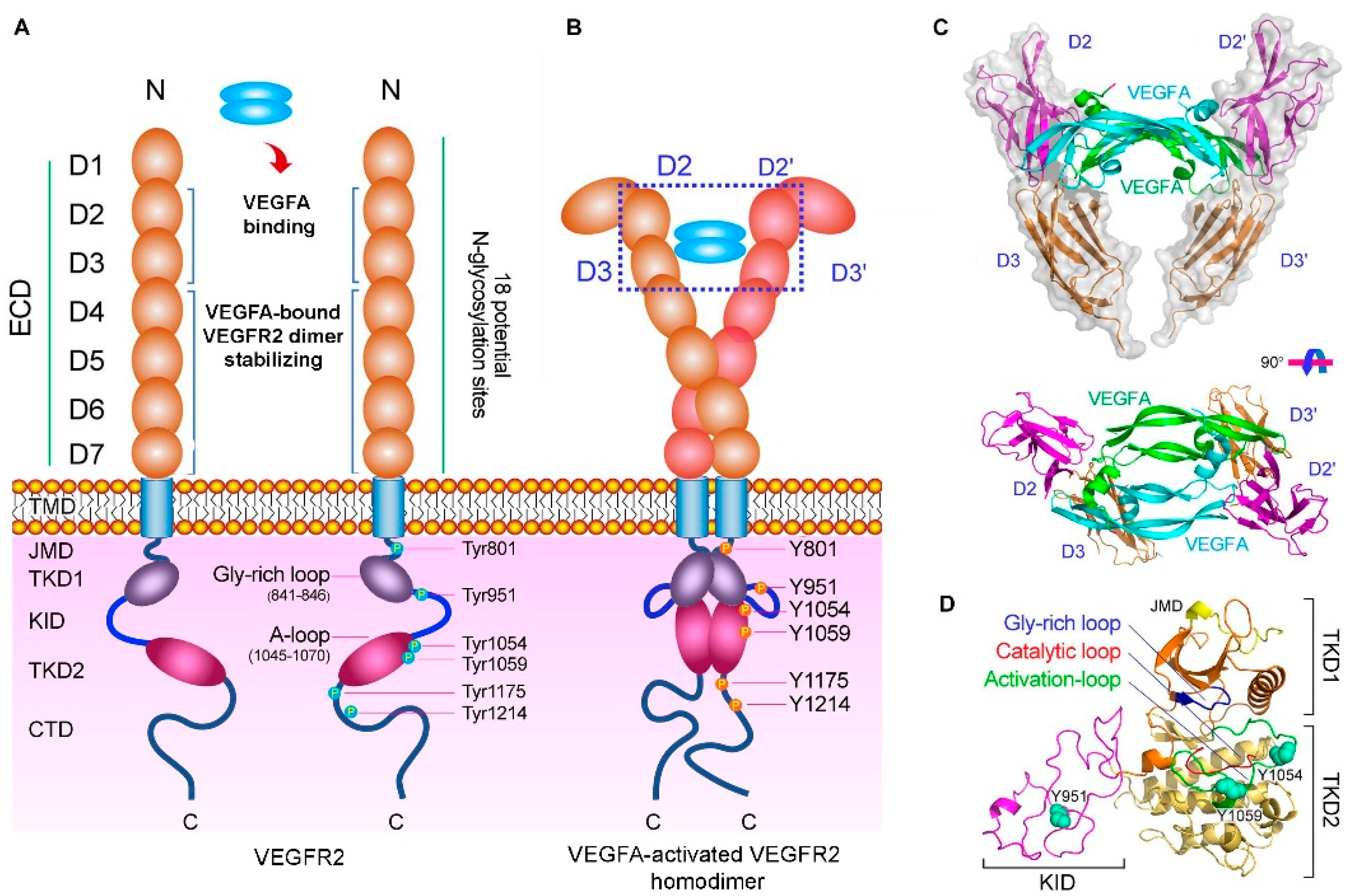Pharmaceutics 13 01337 g001