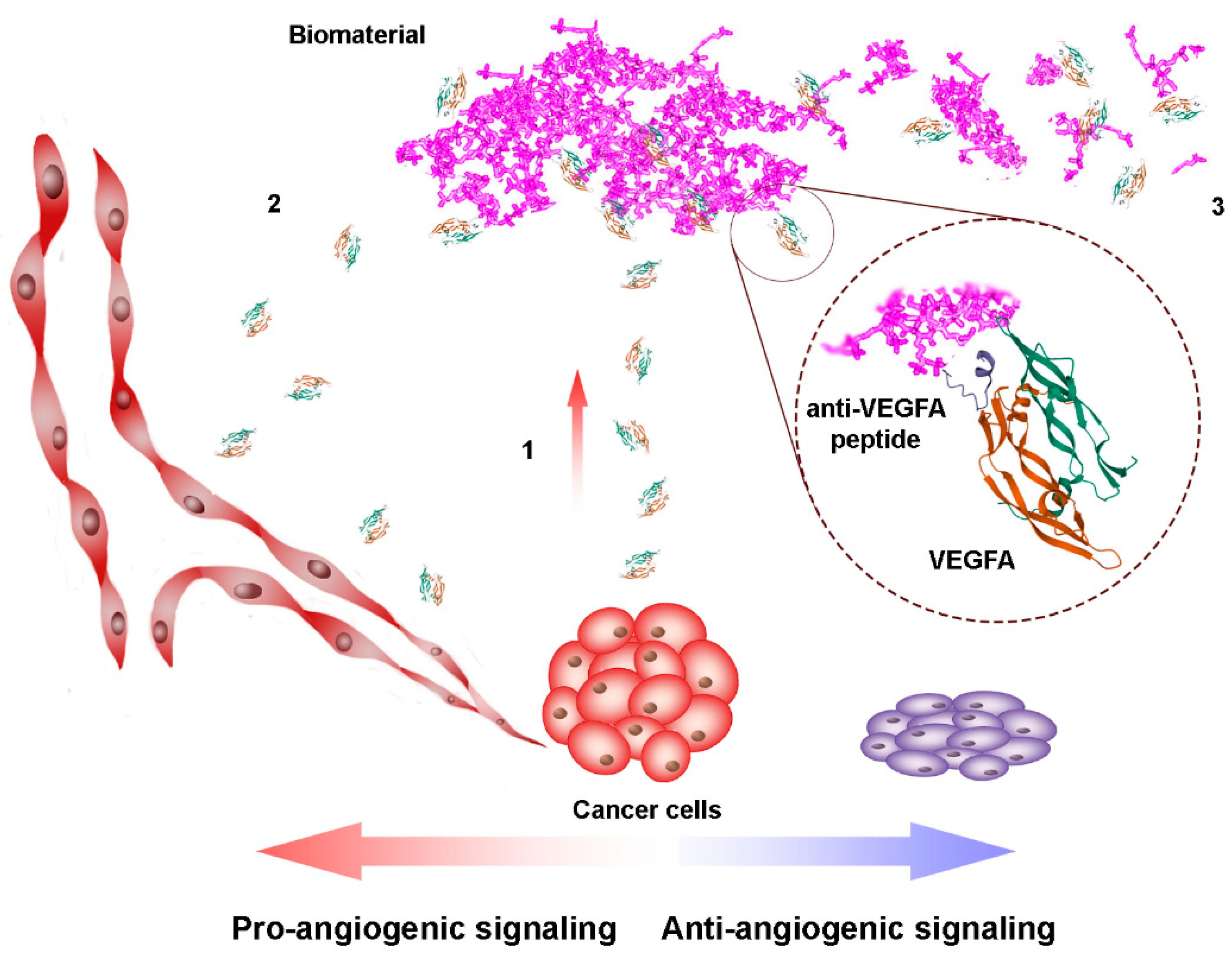 Pharmaceutics 13 01337 g002