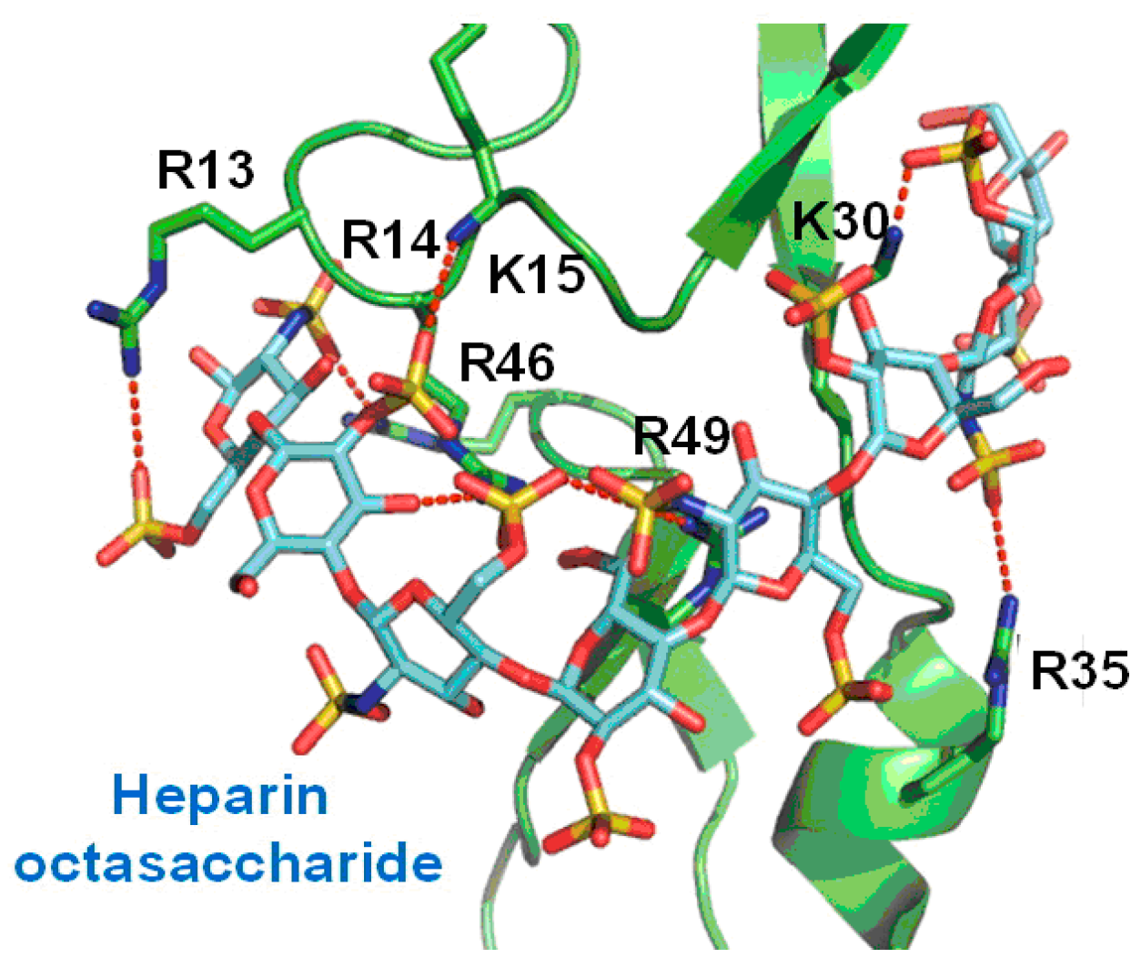 Pharmaceutics 13 01337 g003