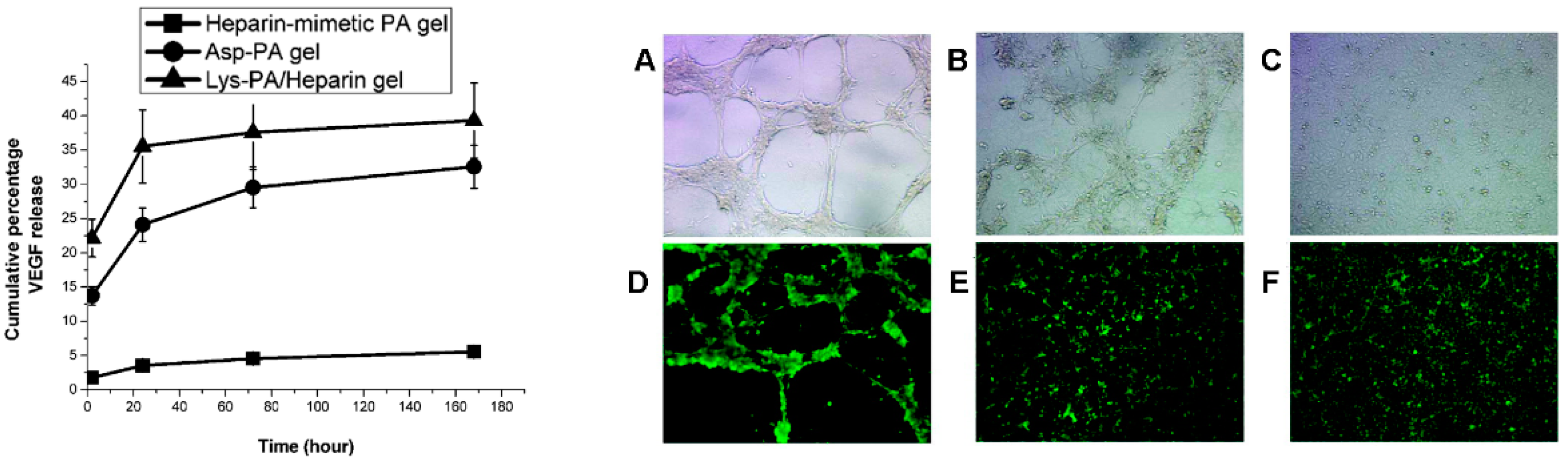 Pharmaceutics 13 01337 g004