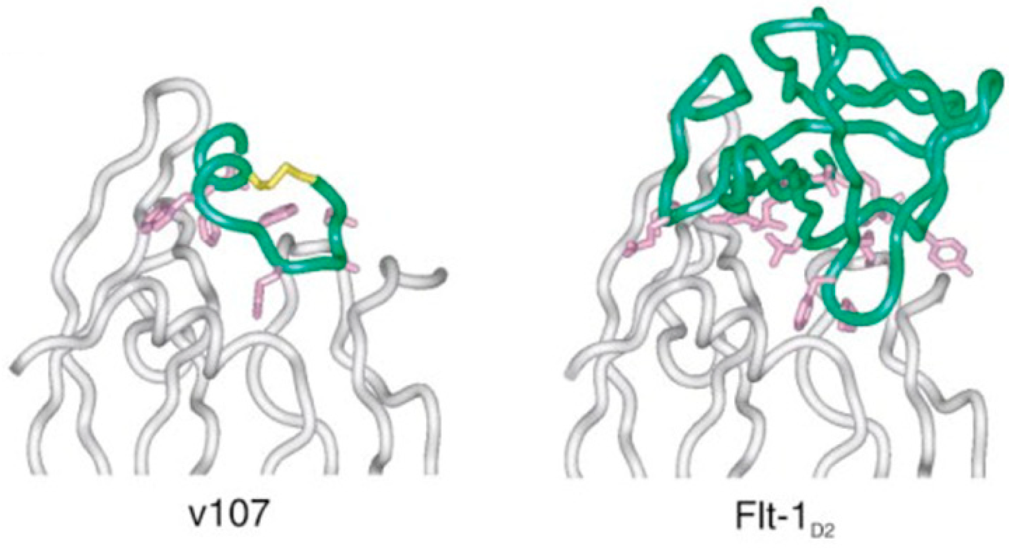 Pharmaceutics 13 01337 g006