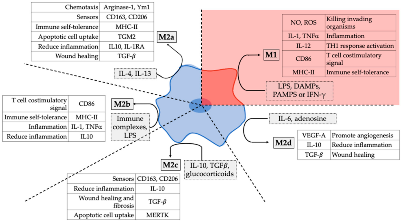 Pharmaceutics 13 01340 g001