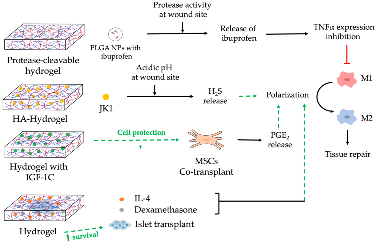 Pharmaceutics 13 01340 g007