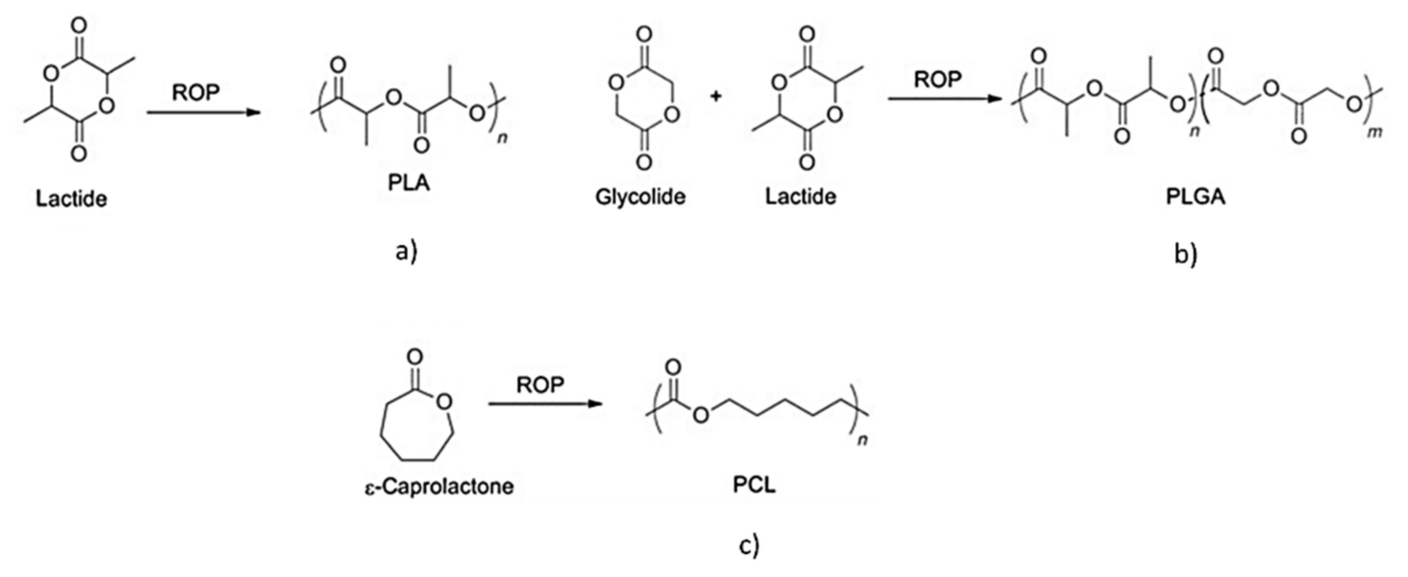 Pharmaceutics 13 01341 g002