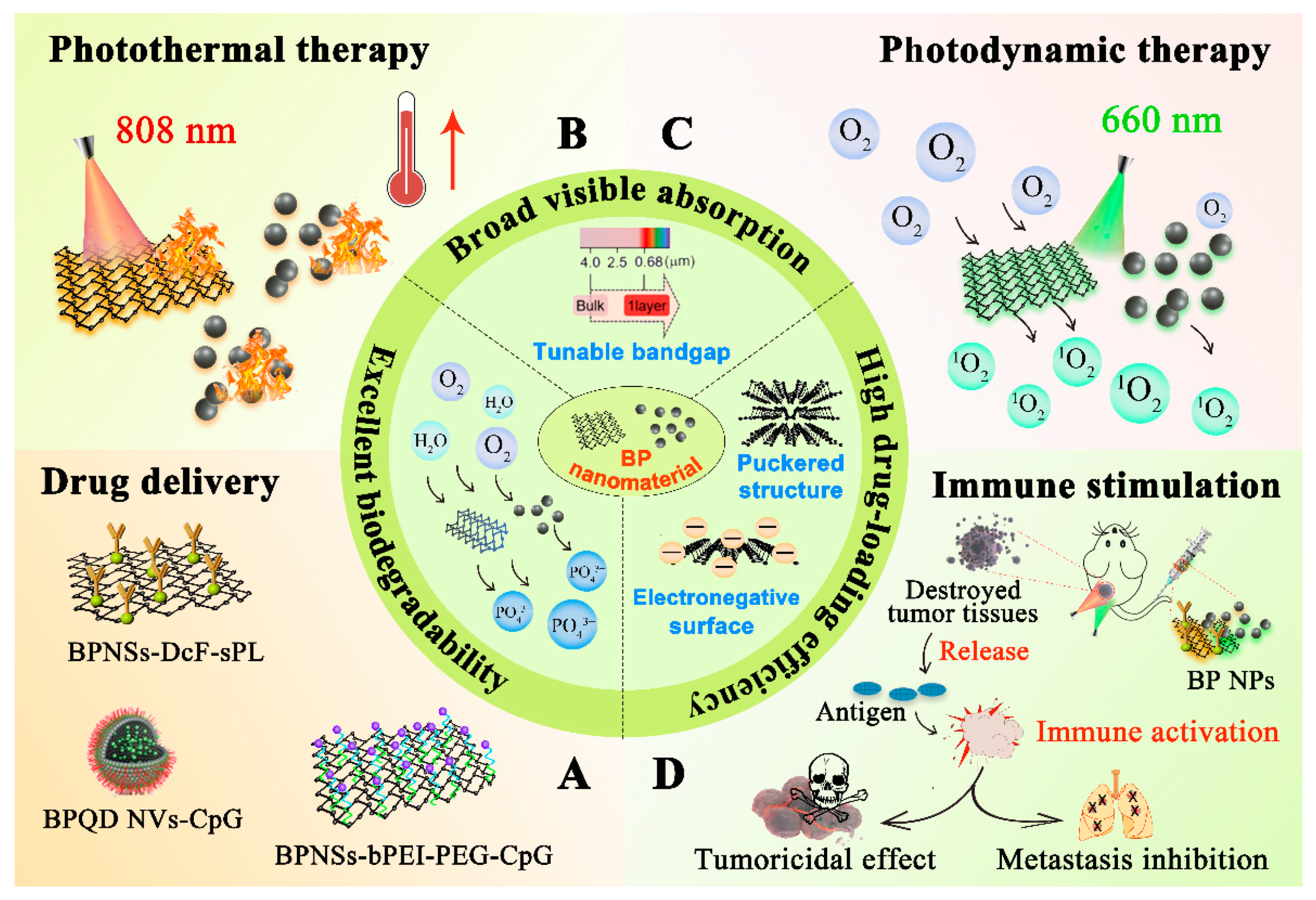 Pharmaceutics 13 01344 g001