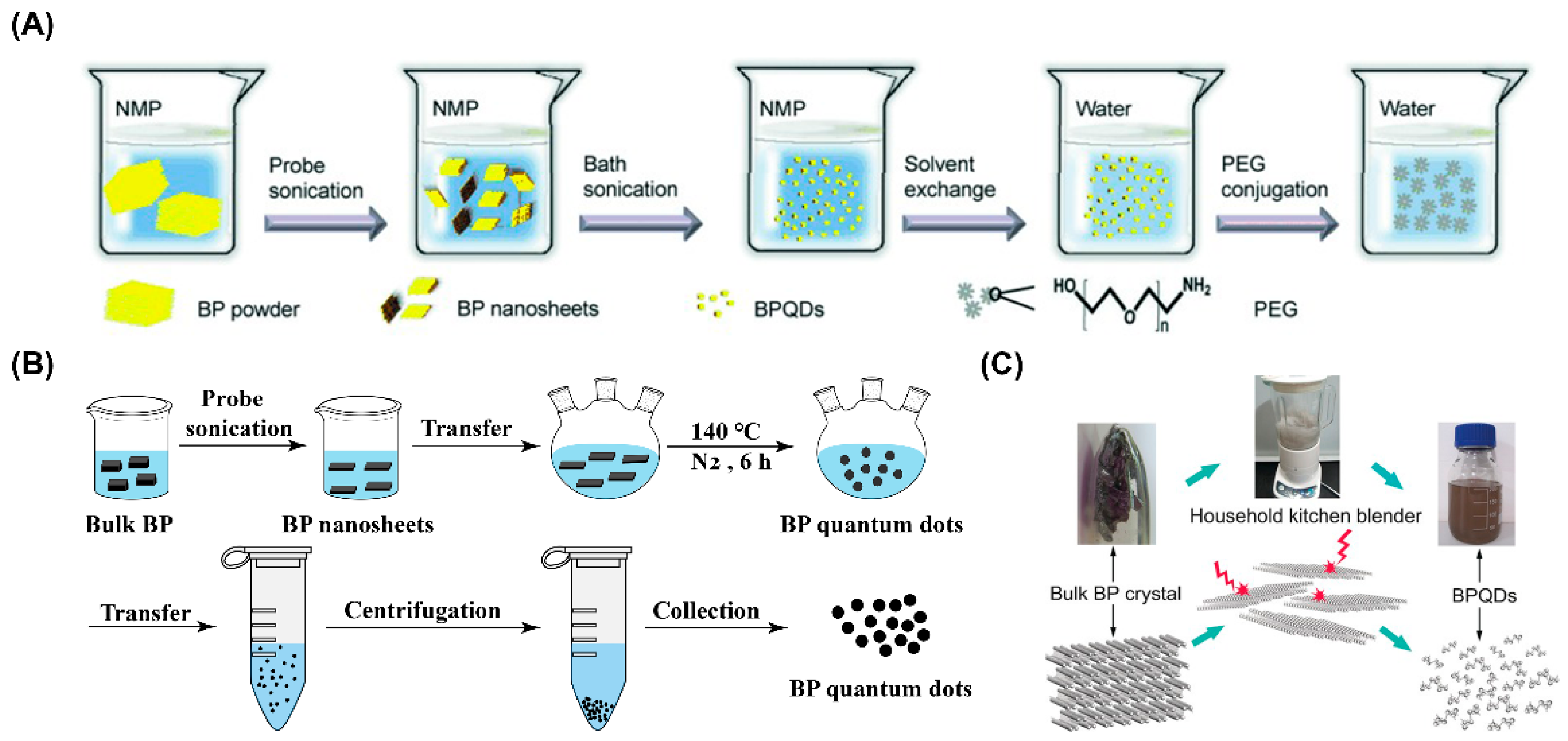 Pharmaceutics 13 01344 g003