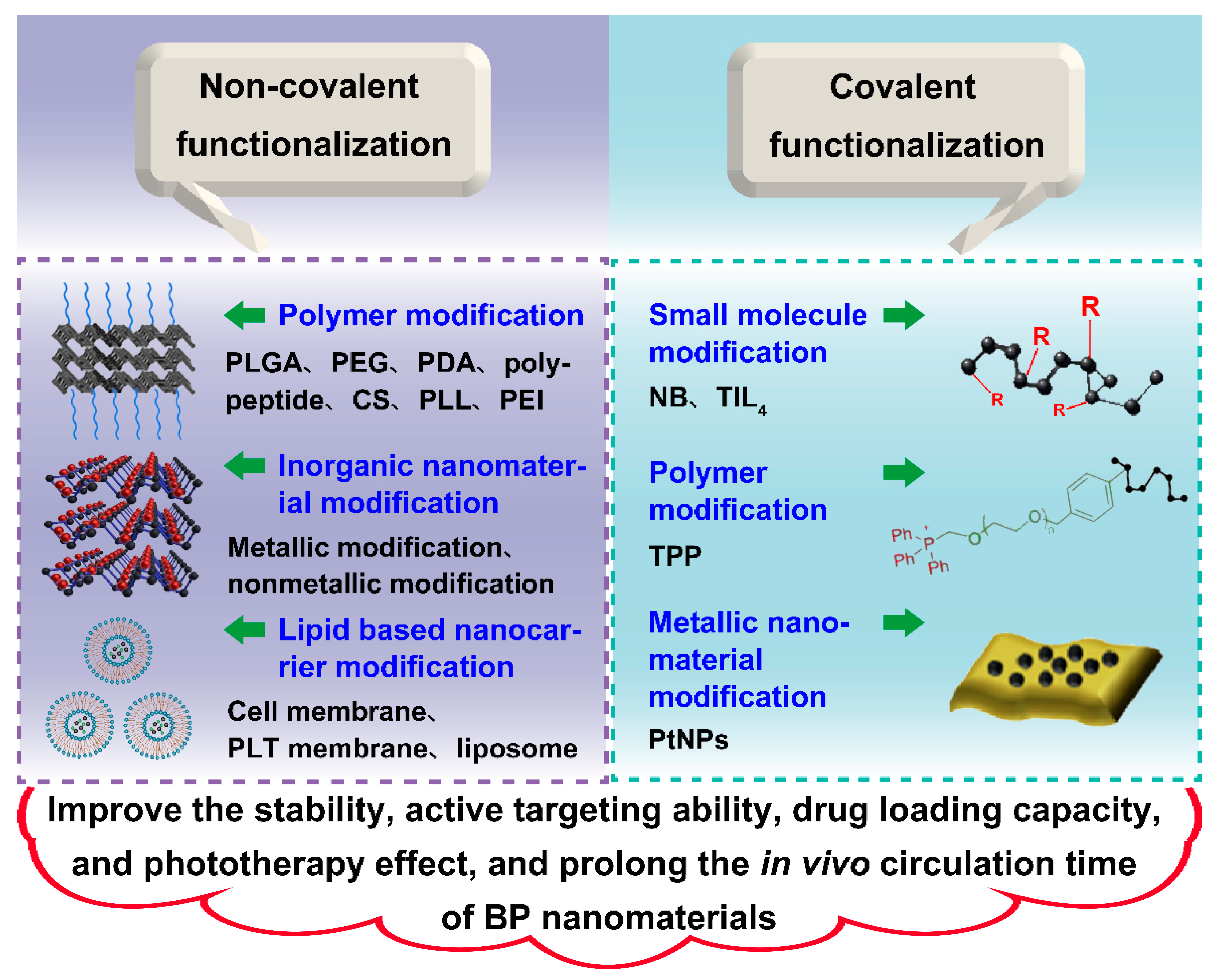 Pharmaceutics 13 01344 g004