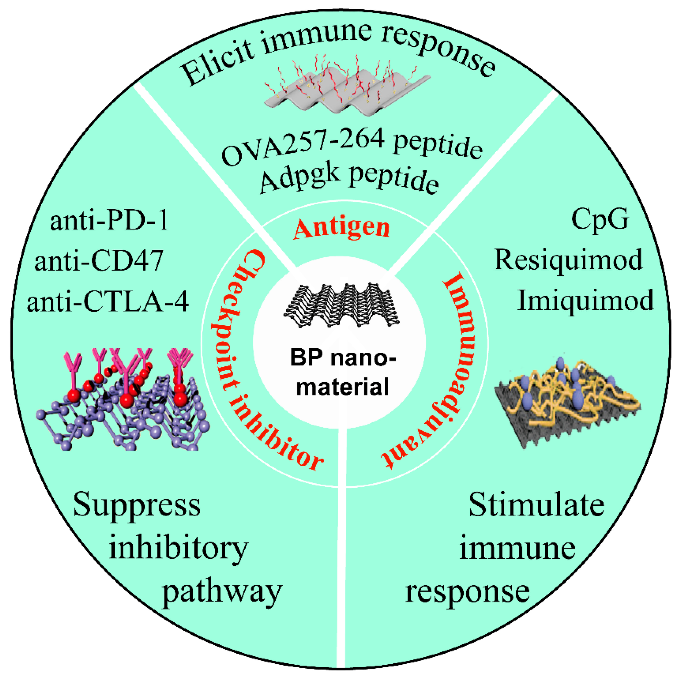 Pharmaceutics 13 01344 g005