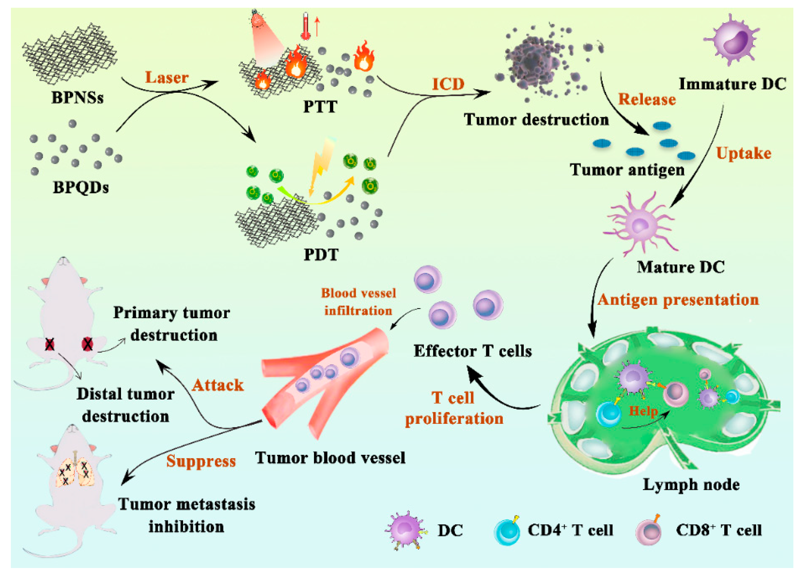 Pharmaceutics 13 01344 g006