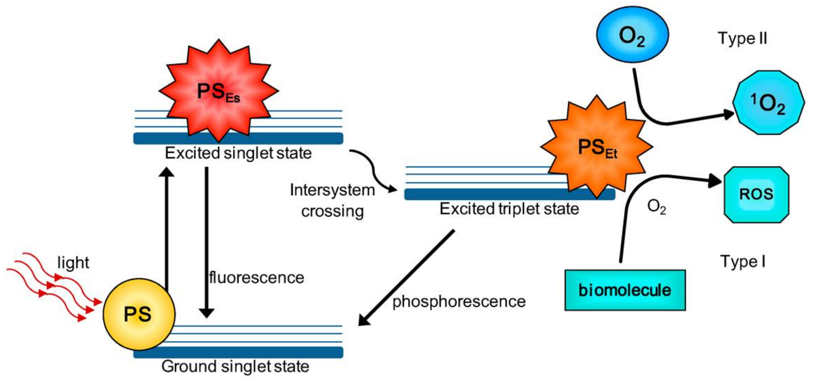 Pharmaceutics 13 01345 g001