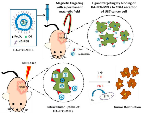 Pharmaceutics 13 01345 g005 550
