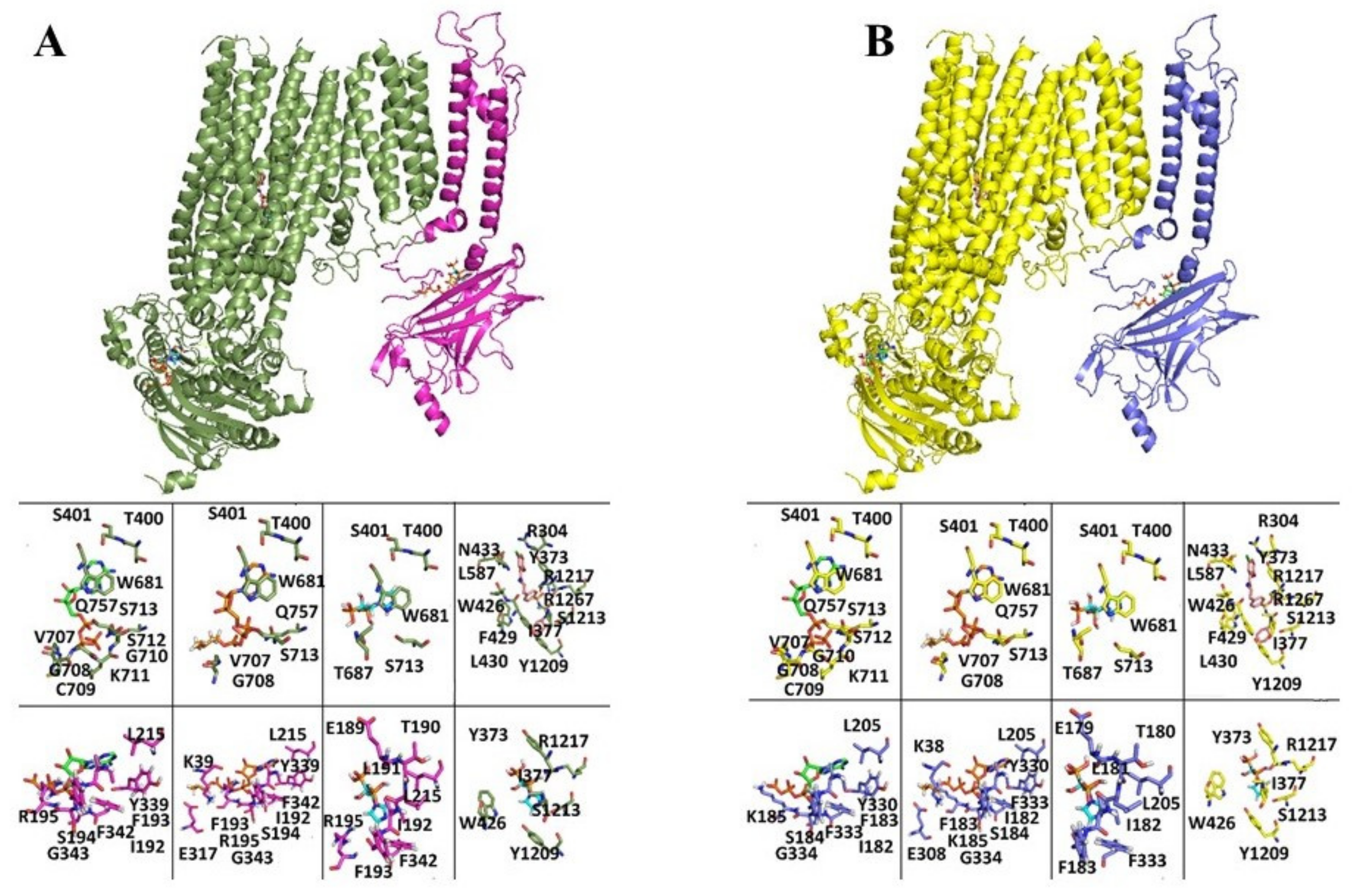 Pharmaceutics 13 01350 g003