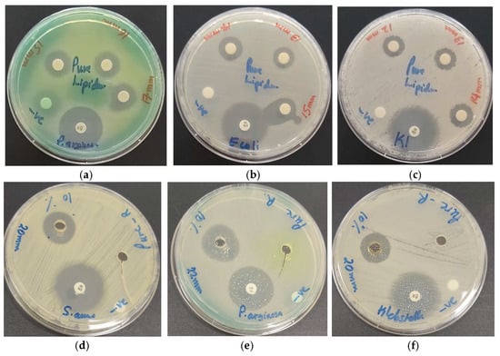 Pharmaceutics 13 01352 g004 550