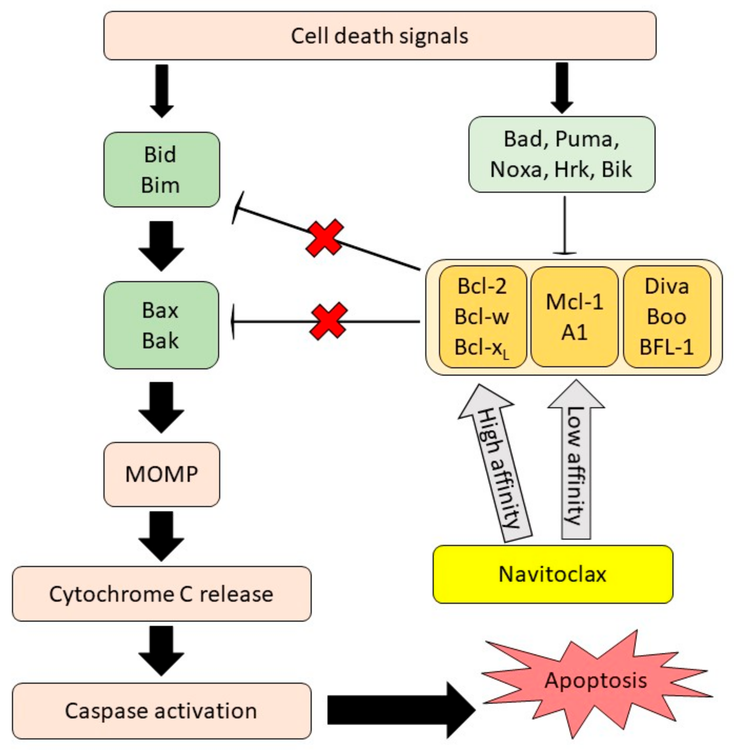 Pharmaceutics 13 01353 g001