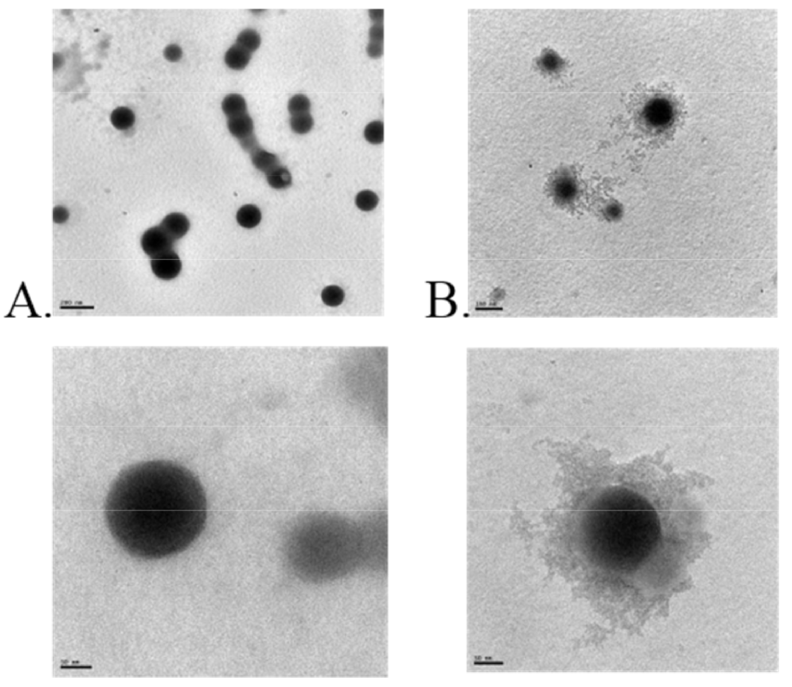 Pharmaceutics 13 01354 g005