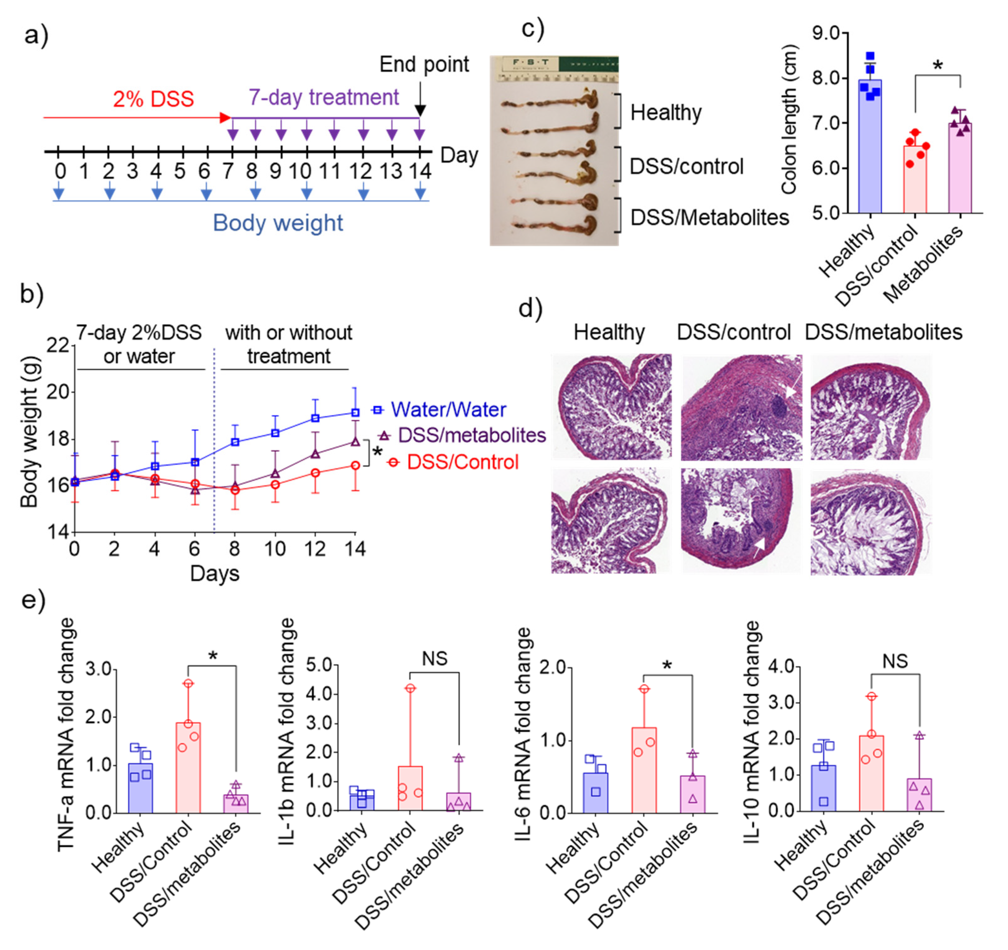 Pharmaceutics 13 01355 g006