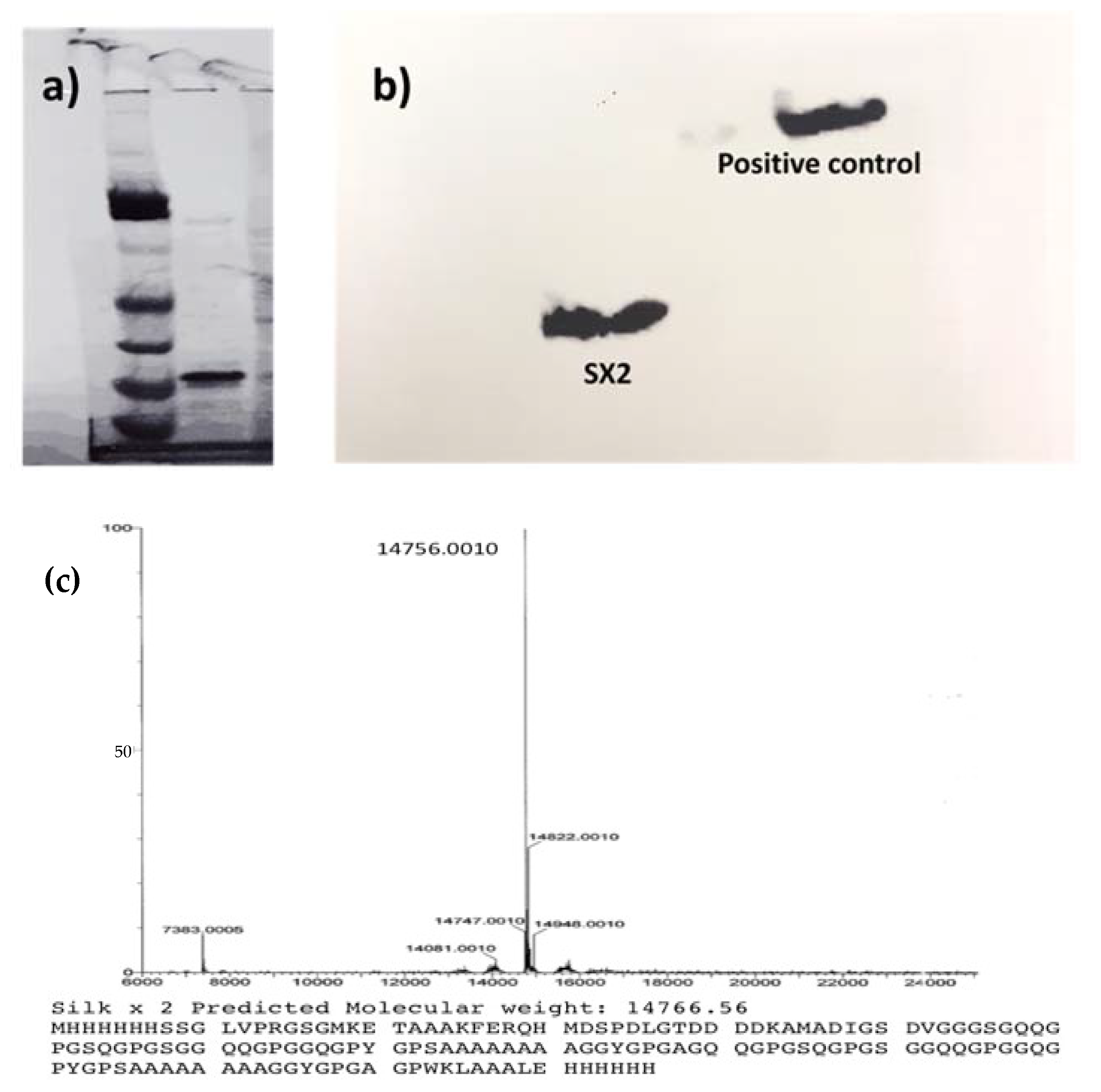 Pharmaceutics 13 01358 g002 Pharmaceutics 13 01358 g002