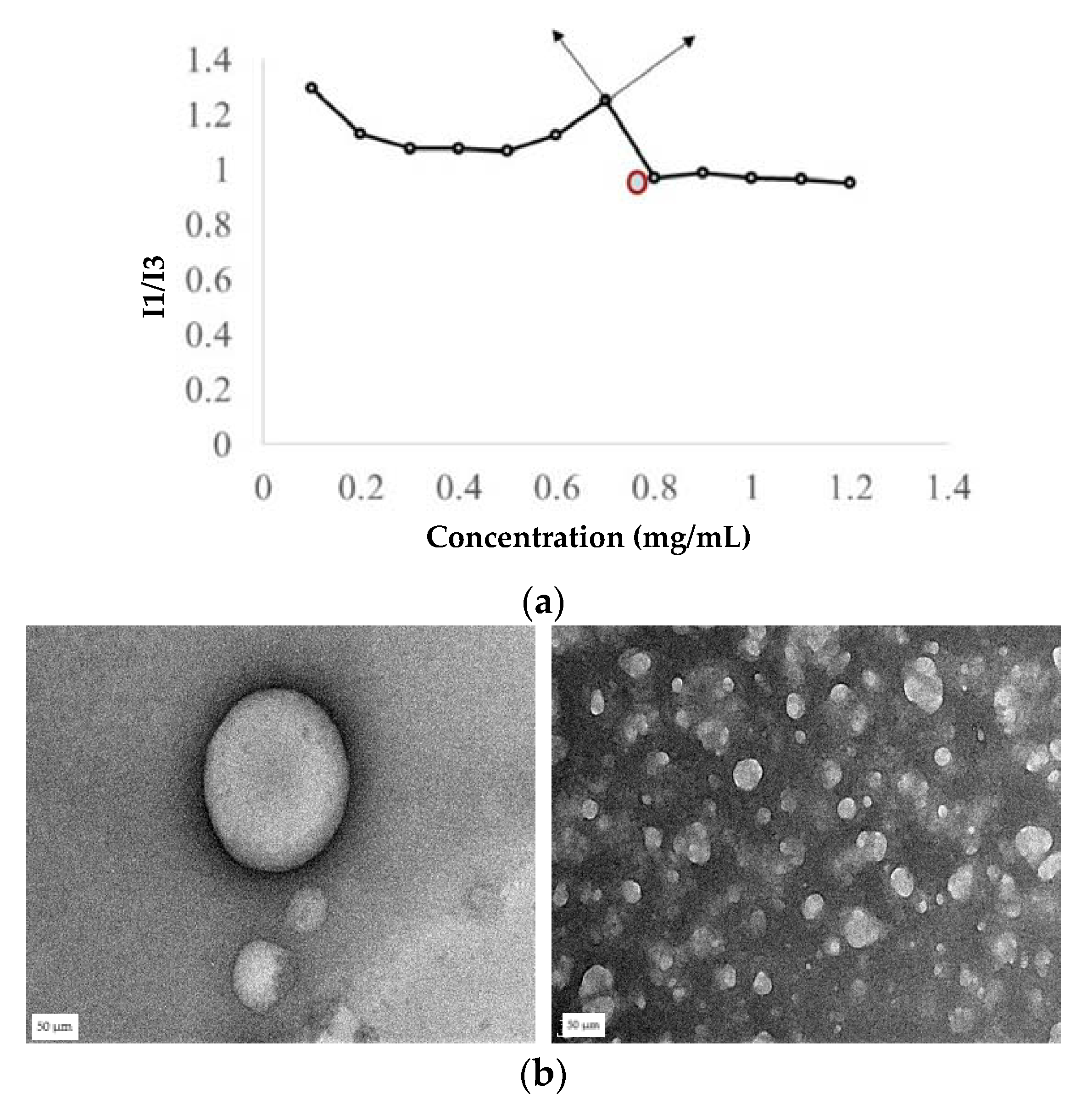 Pharmaceutics 13 01358 g005 Pharmaceutics 13 01358 g005