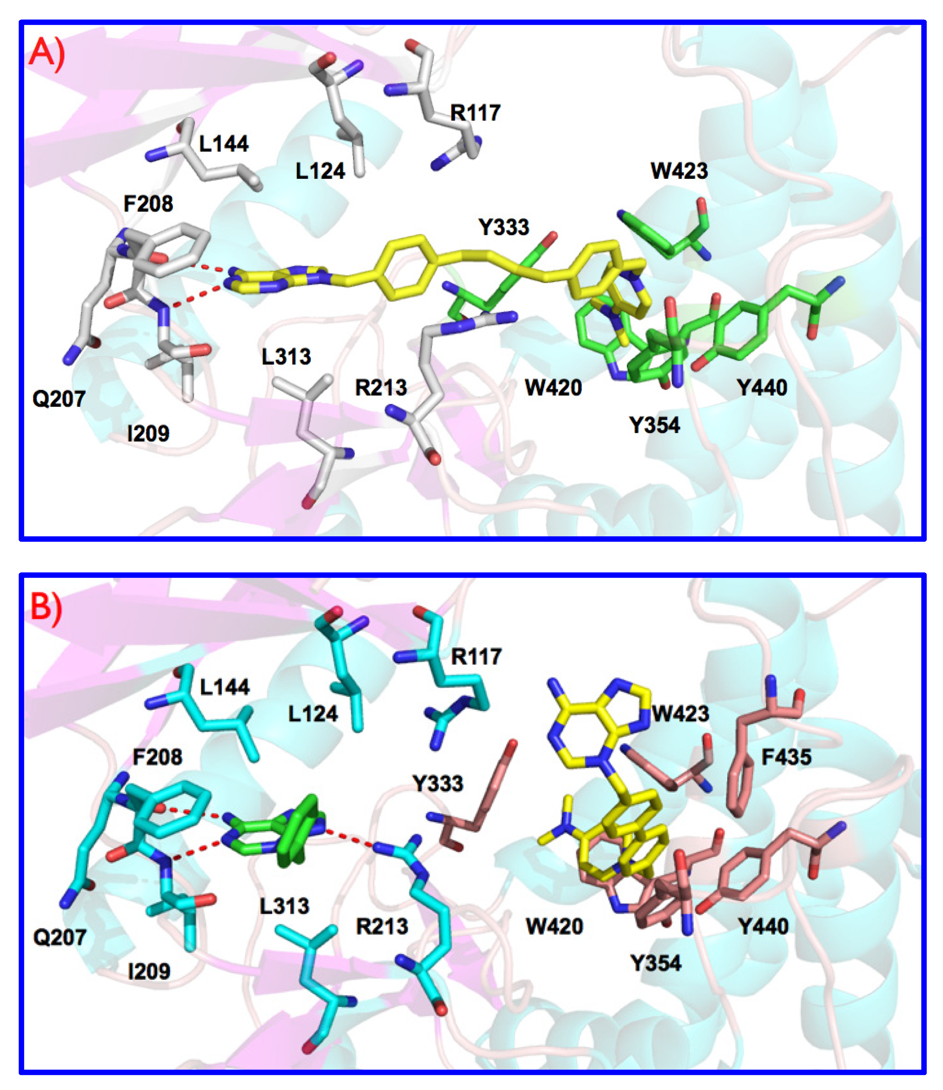 Pharmaceutics 13 01360 g002