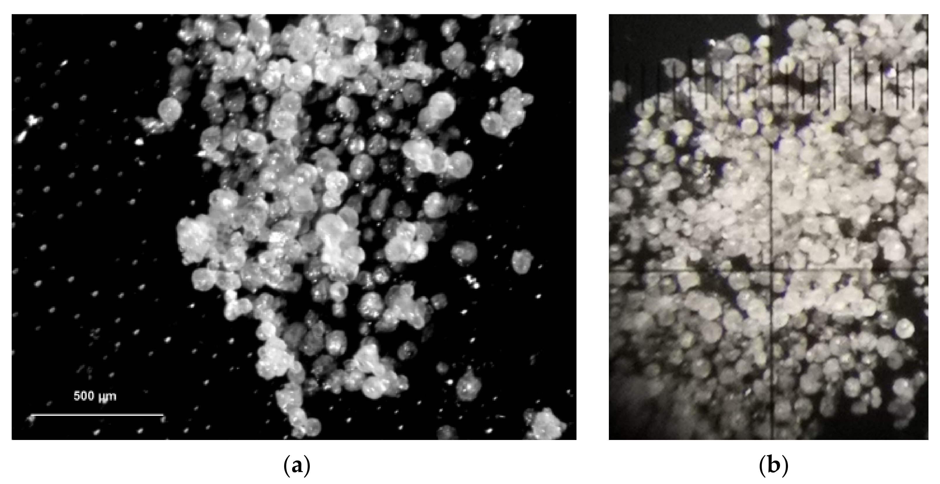 Pharmaceutics 13 01361 g005