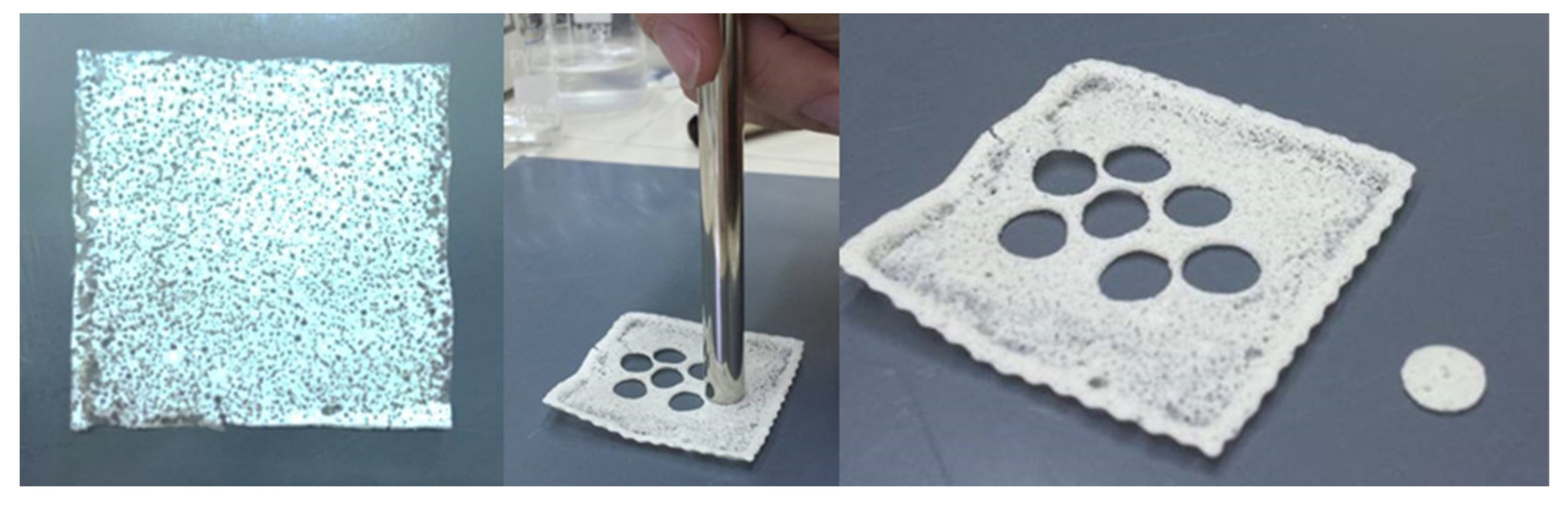 Pharmaceutics 13 01361 g007