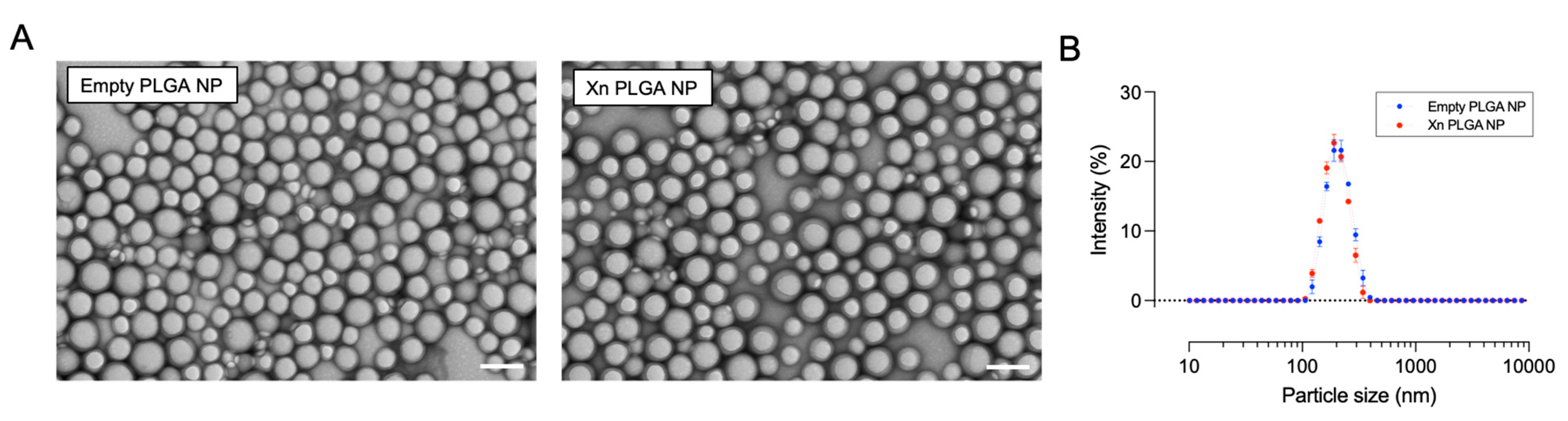 Pharmaceutics 13 01362 g004