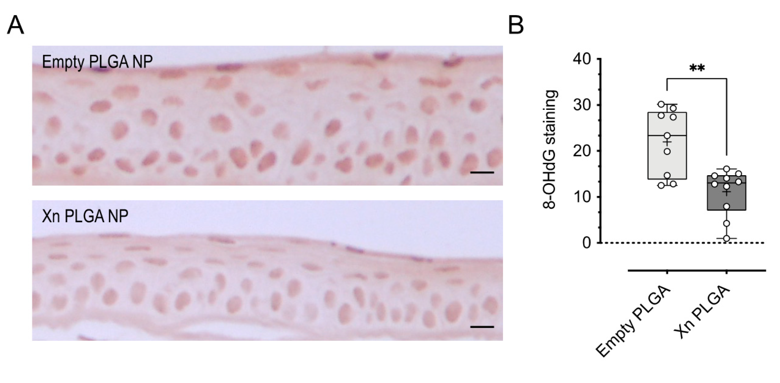 Pharmaceutics 13 01362 g009