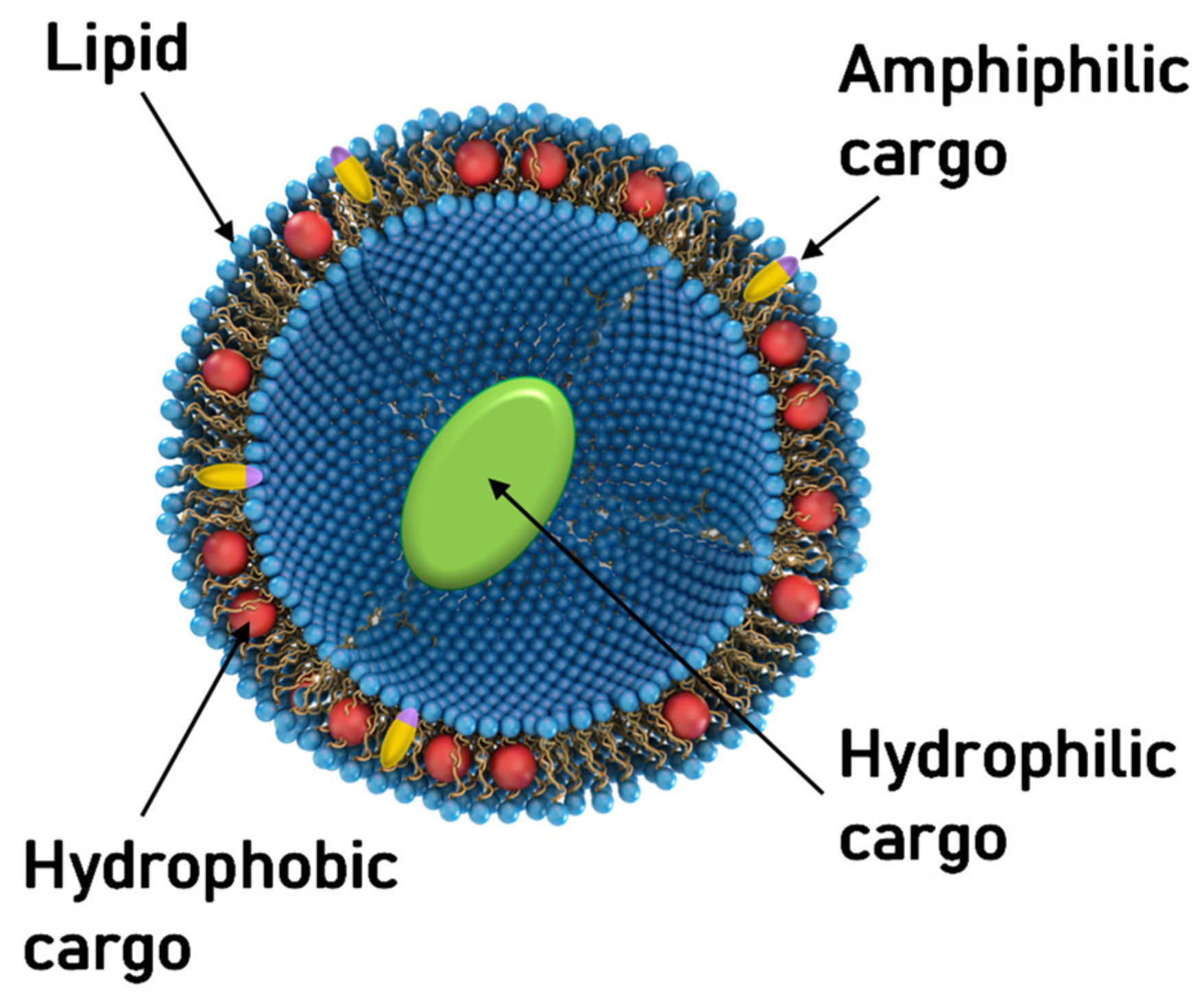 Pharmaceutics 13 01365 g001