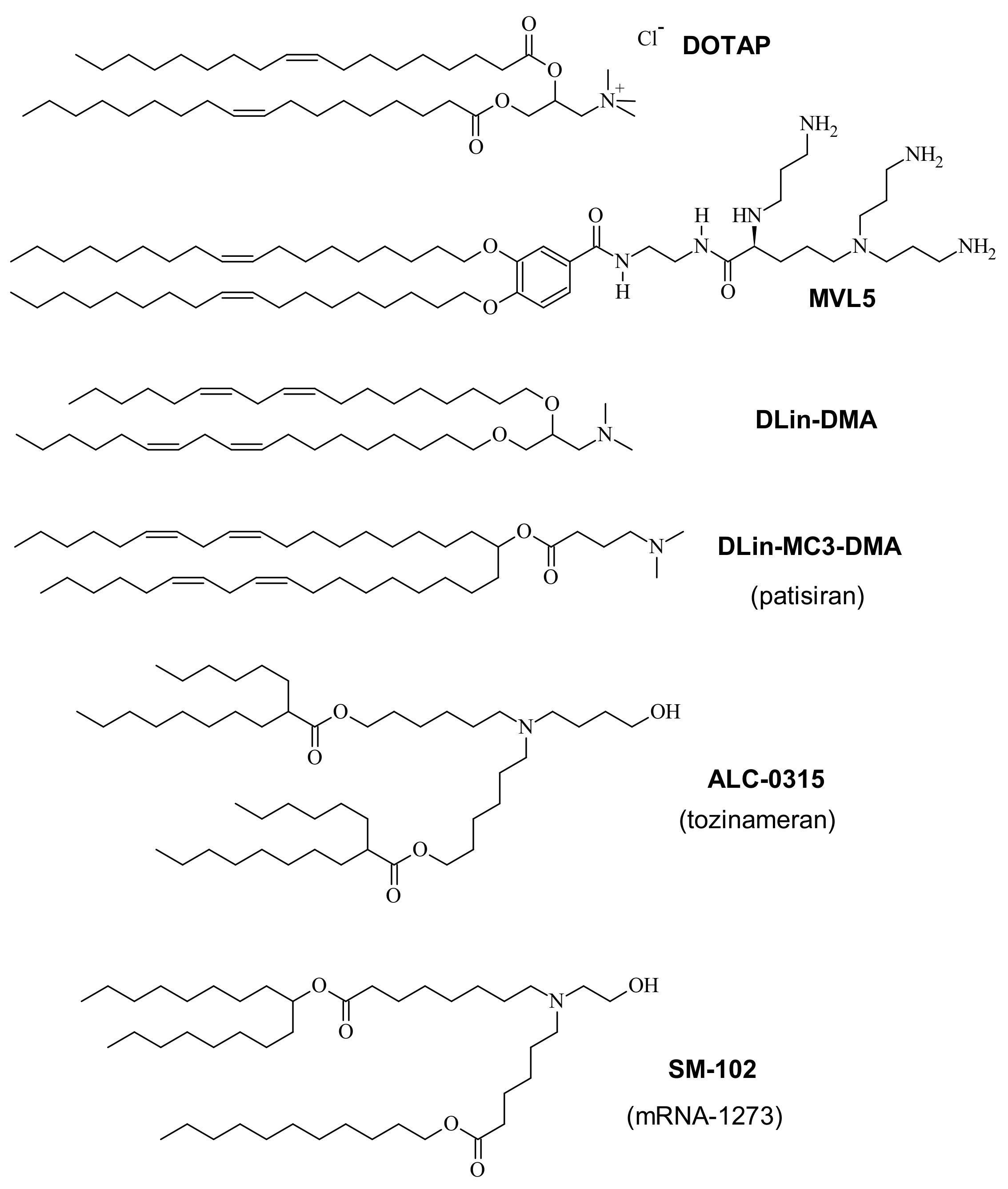 Pharmaceutics 13 01365 g002