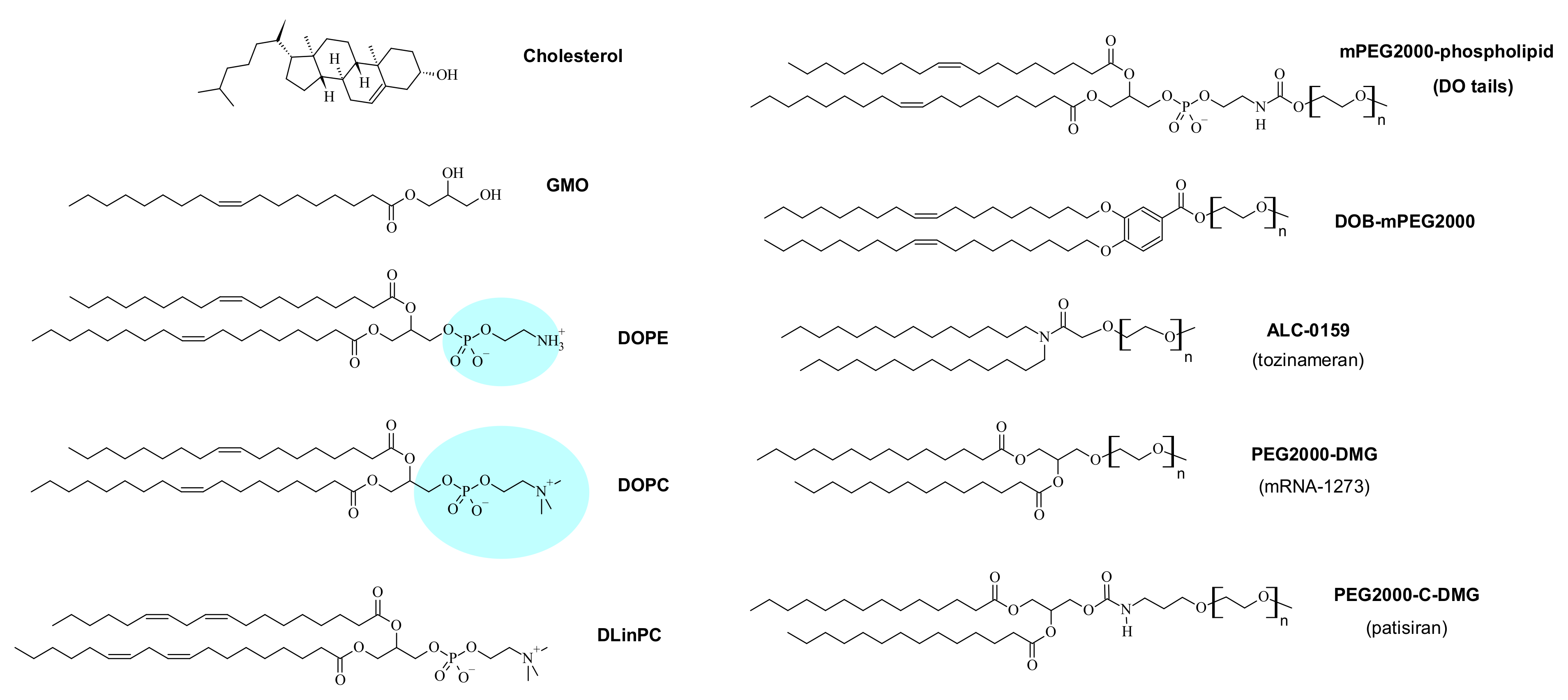 Pharmaceutics 13 01365 g003
