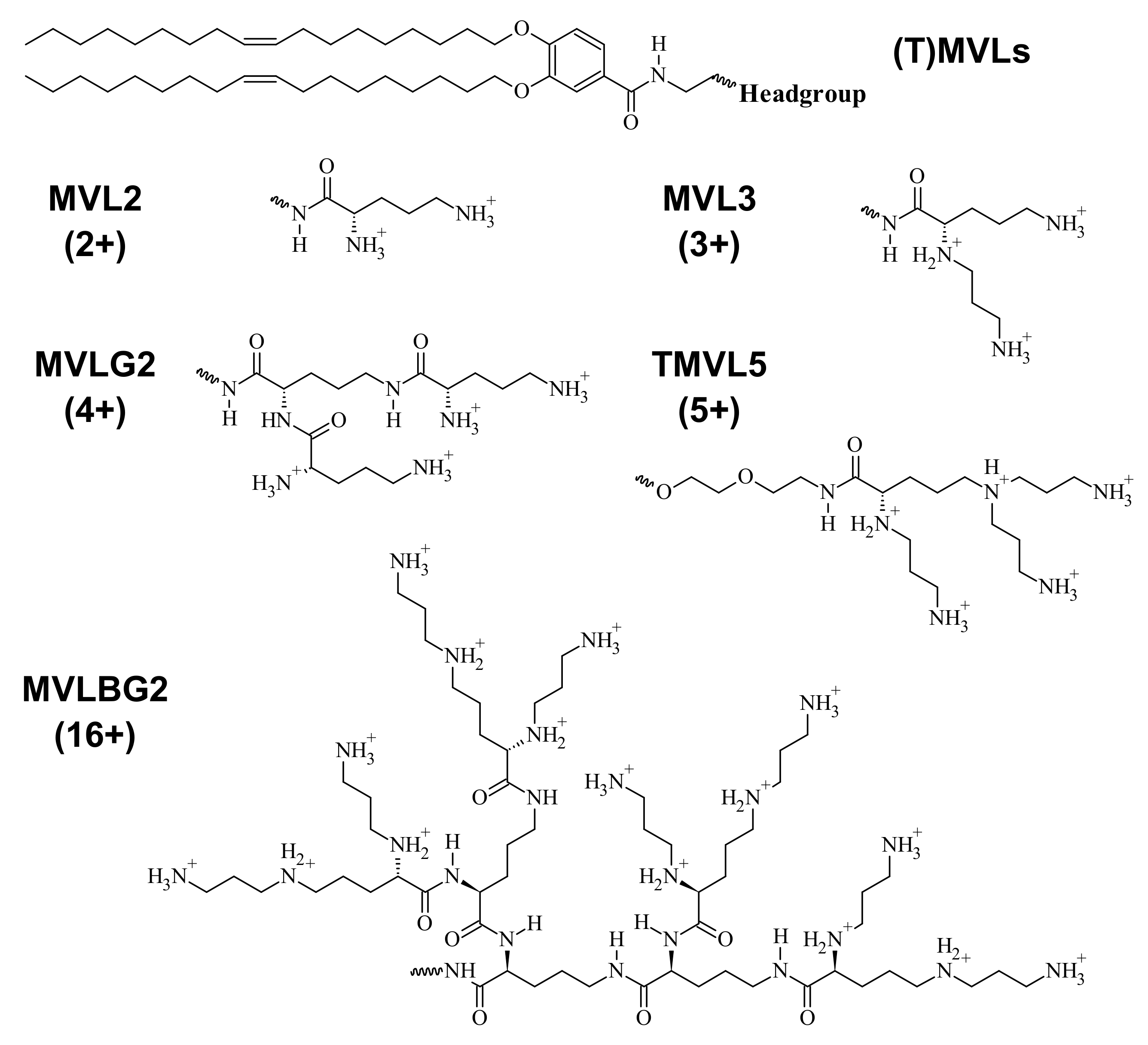 Pharmaceutics 13 01365 g005
