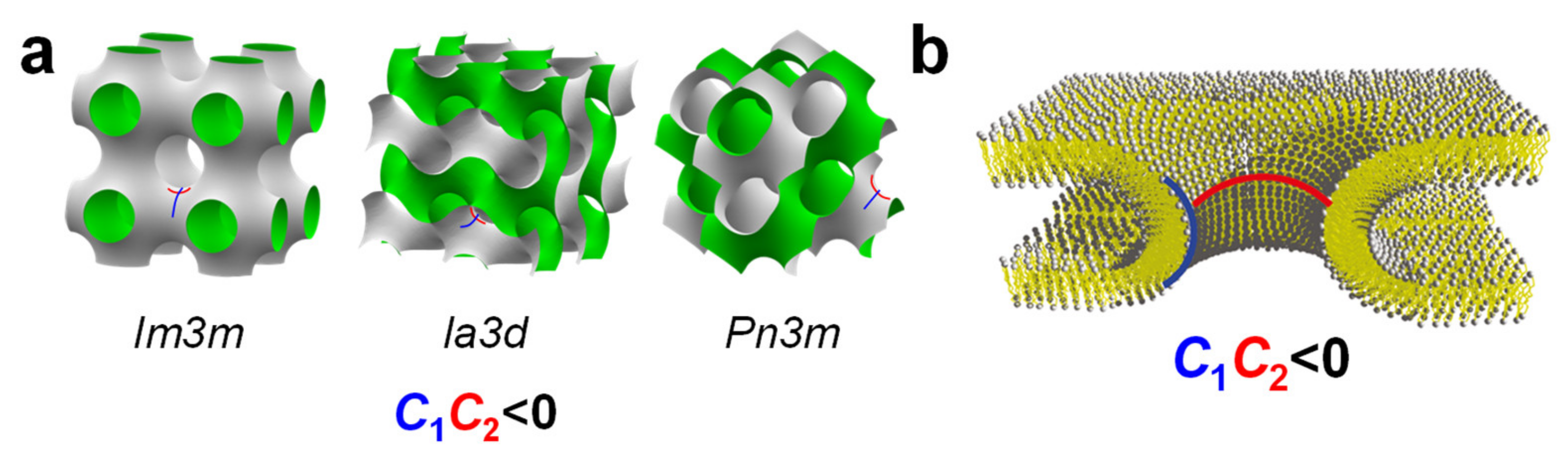 Pharmaceutics 13 01365 g006