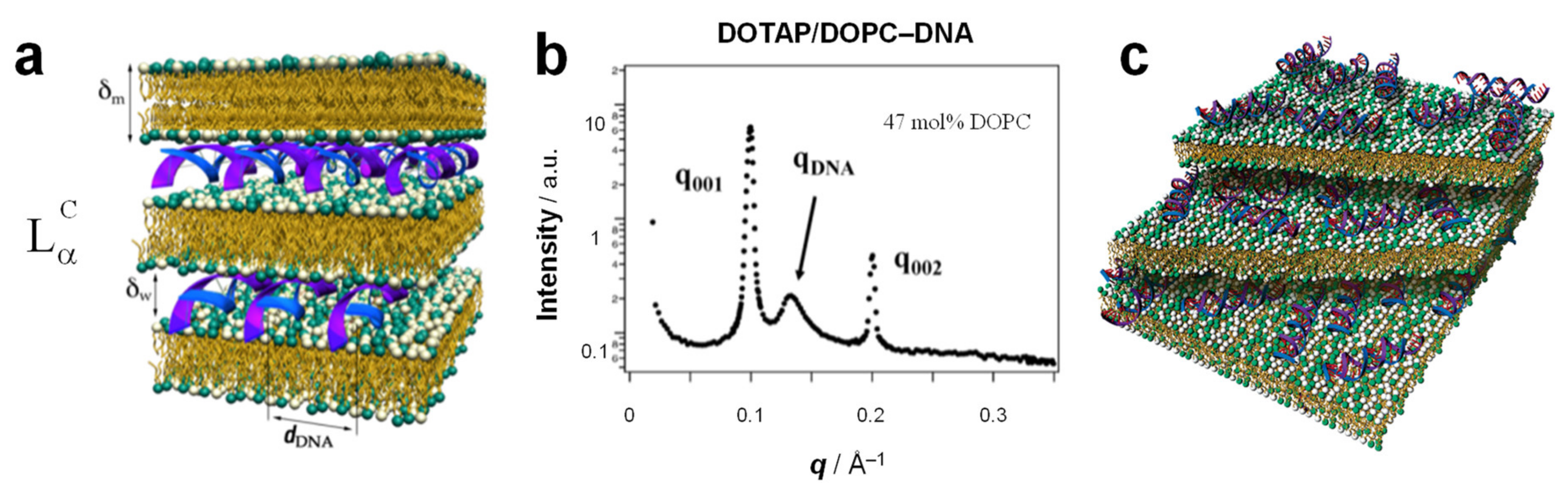 Pharmaceutics 13 01365 g007
