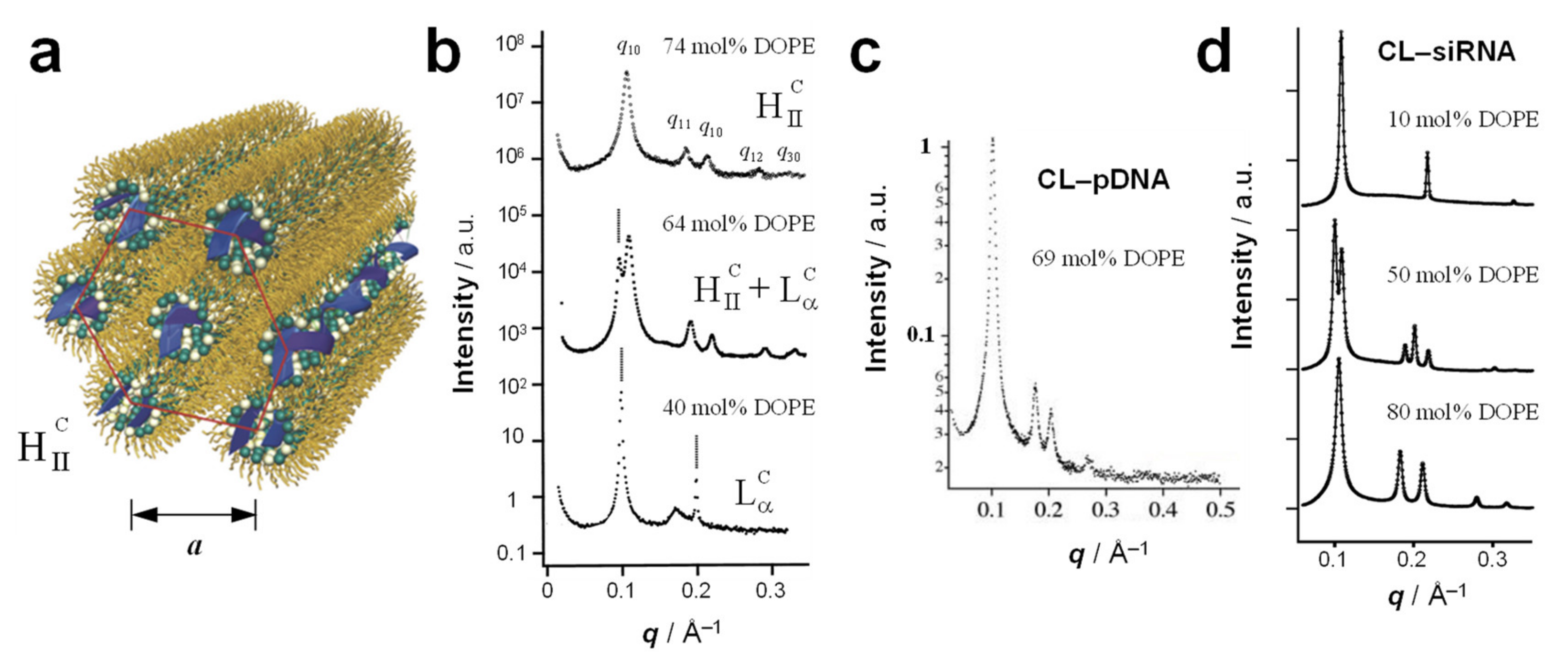Pharmaceutics 13 01365 g008